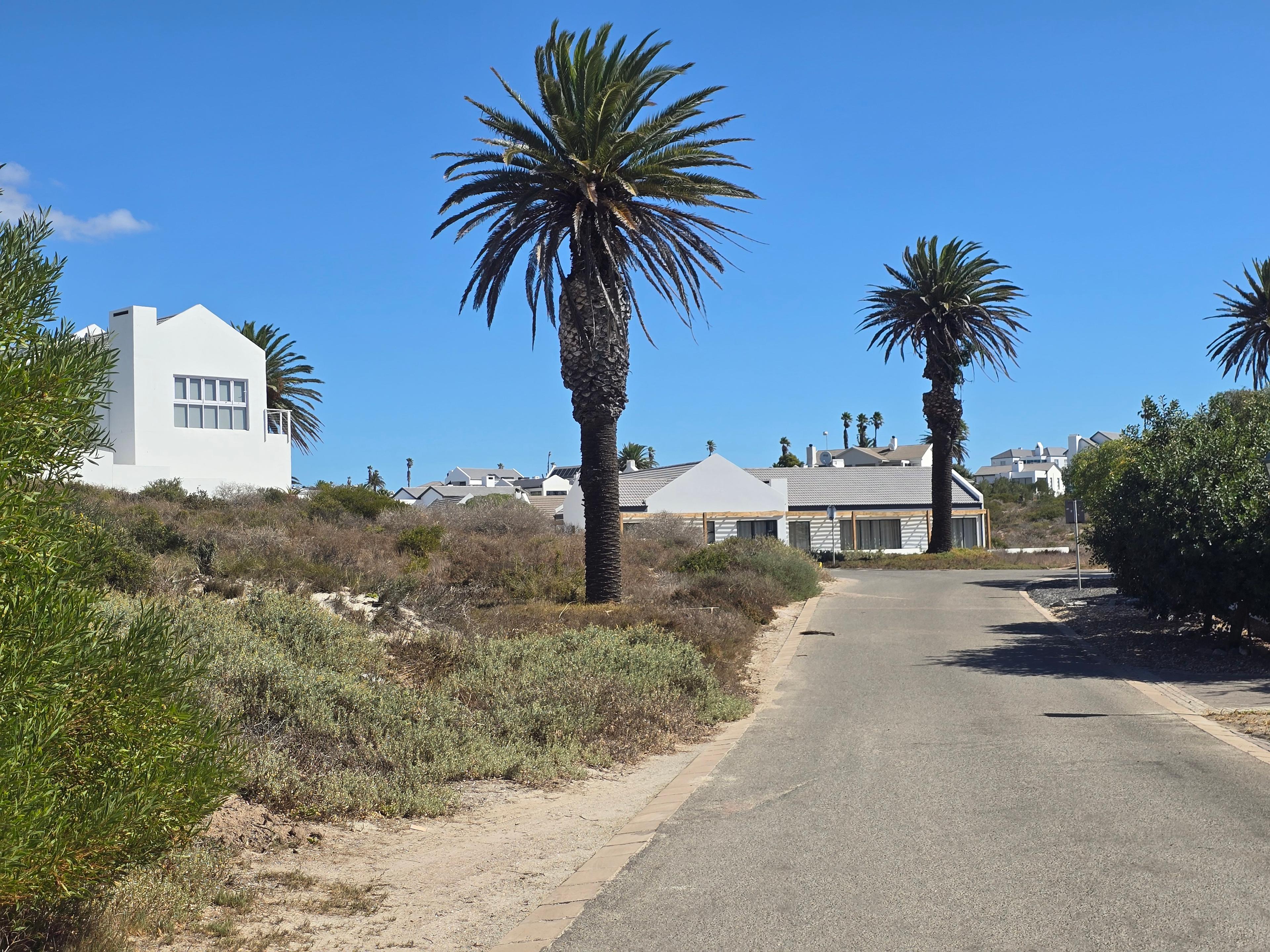 Image 19