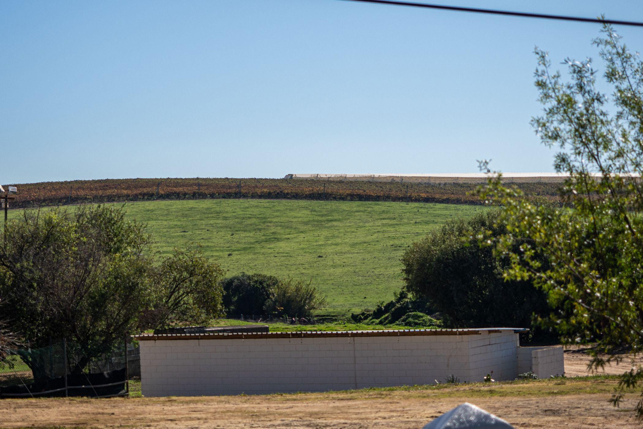 Image 25