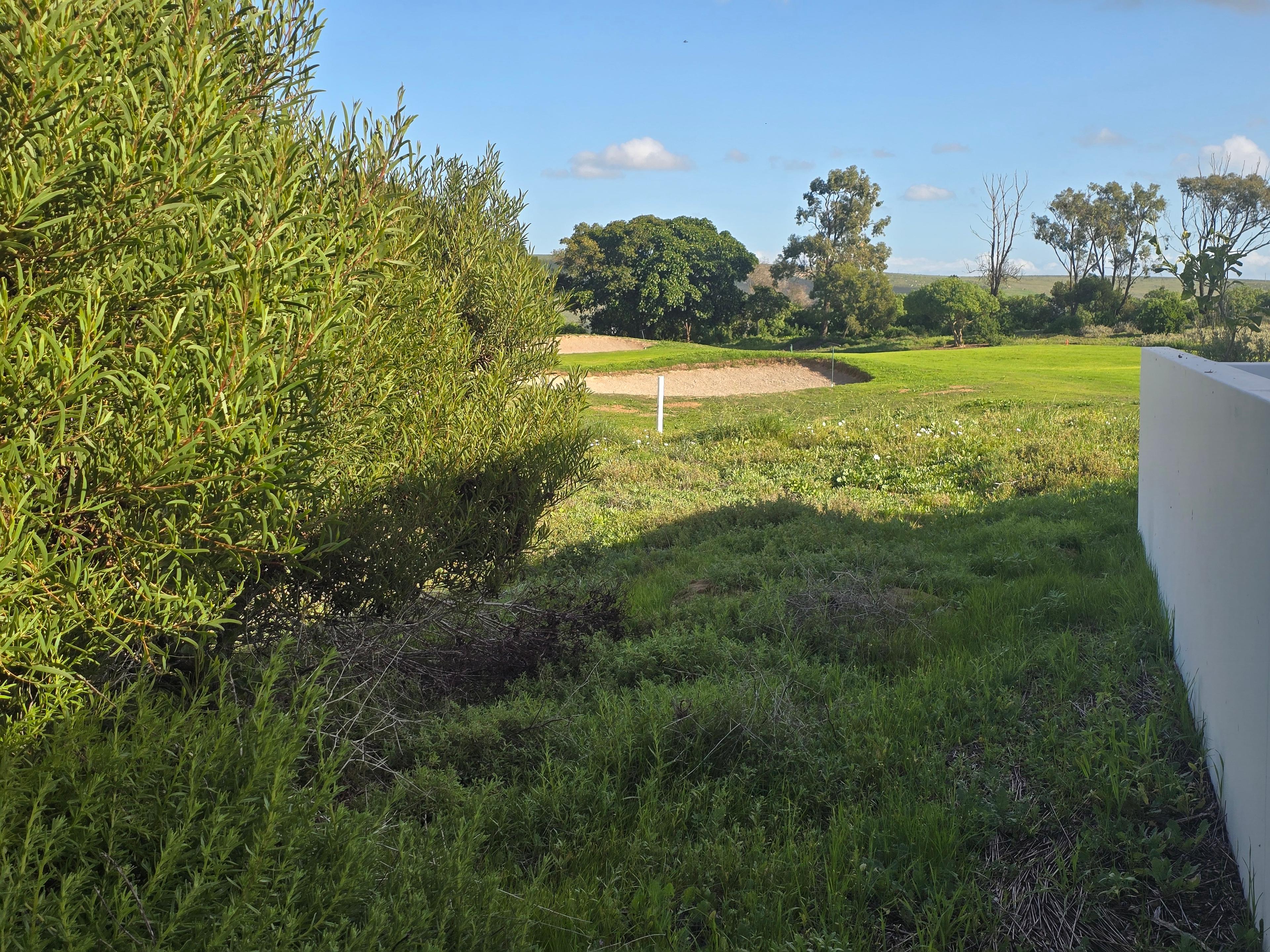 Image 31