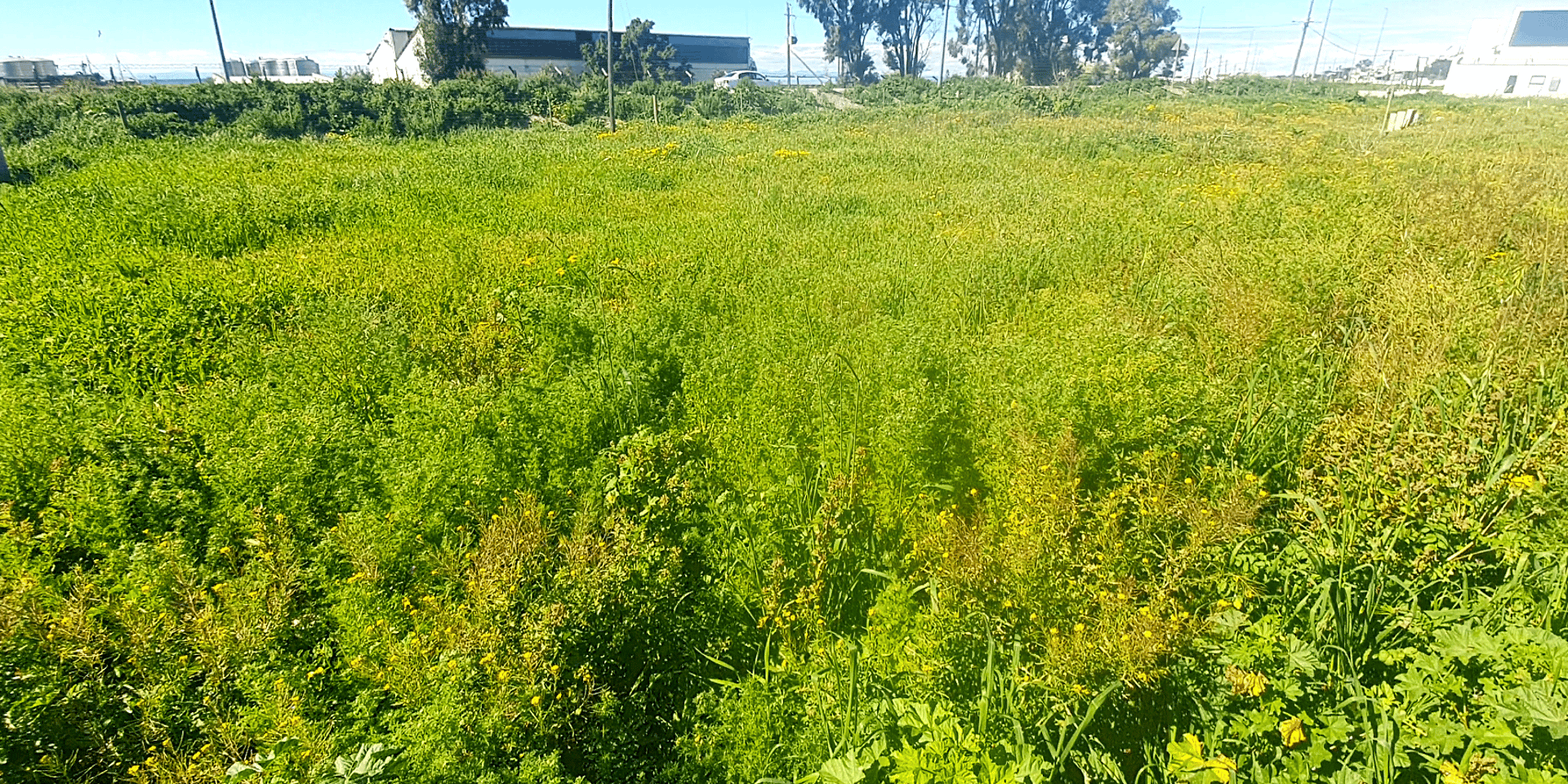 Image 4 of 6