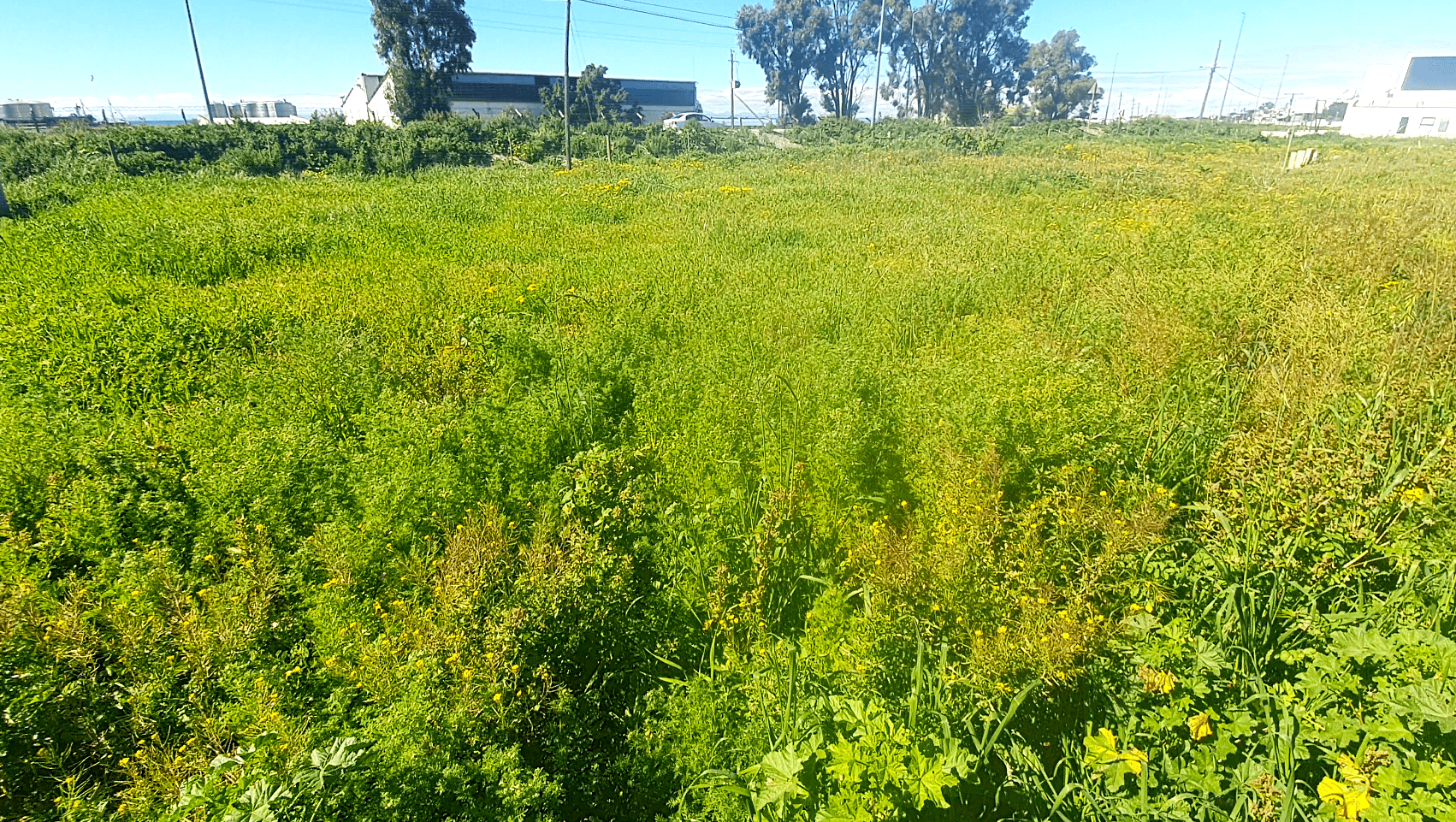 Image 4 of 6