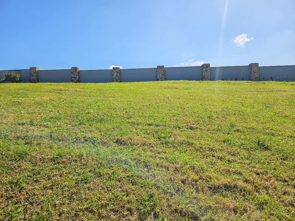 Image 5 of 6