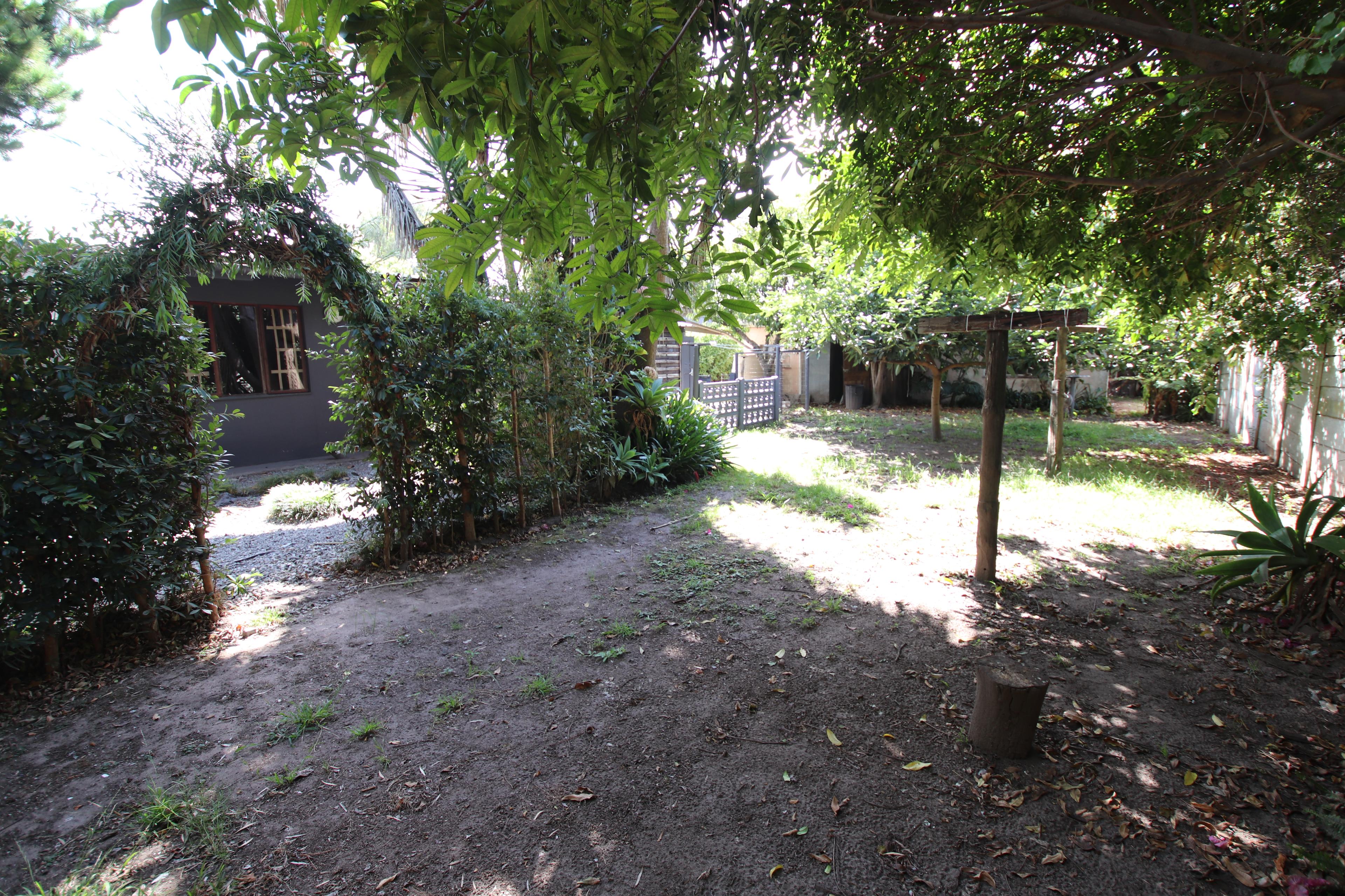 Image 37