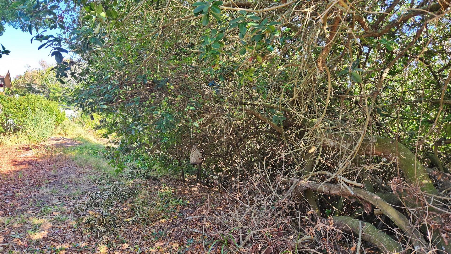 Image 5 of 6