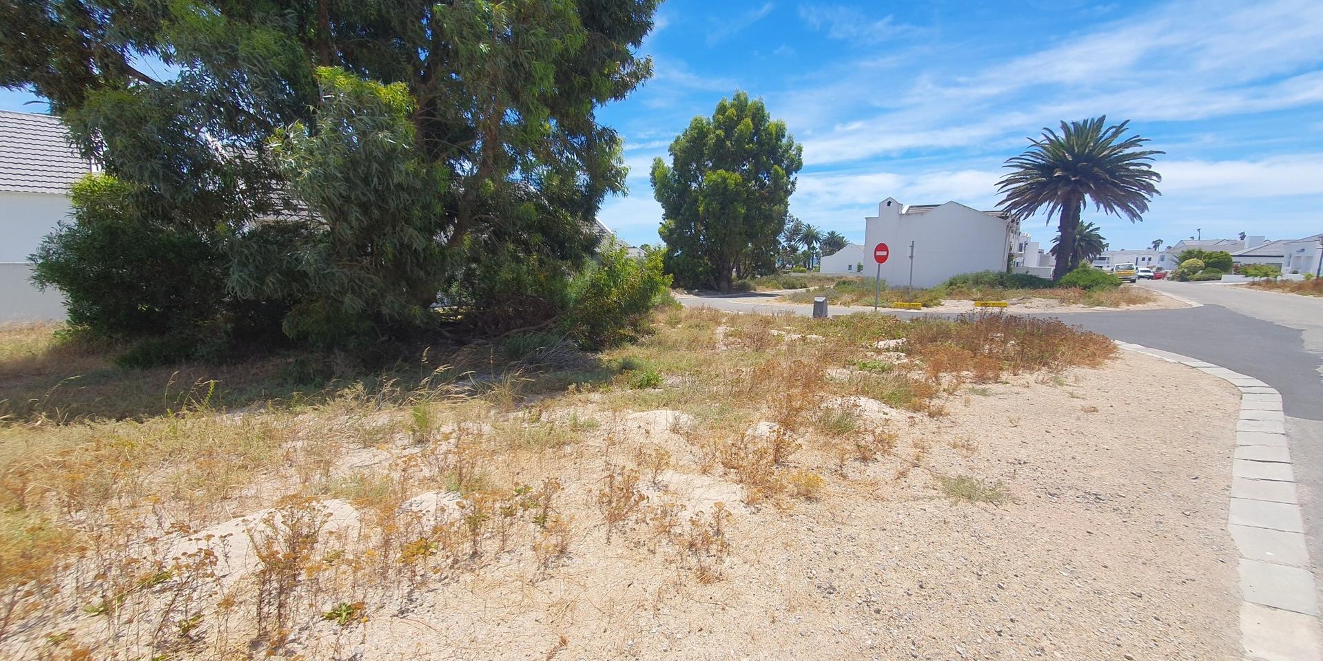 Image 4 of 6