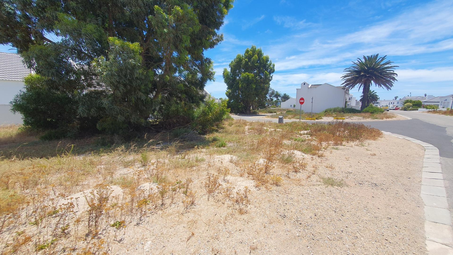 Image 4 of 6