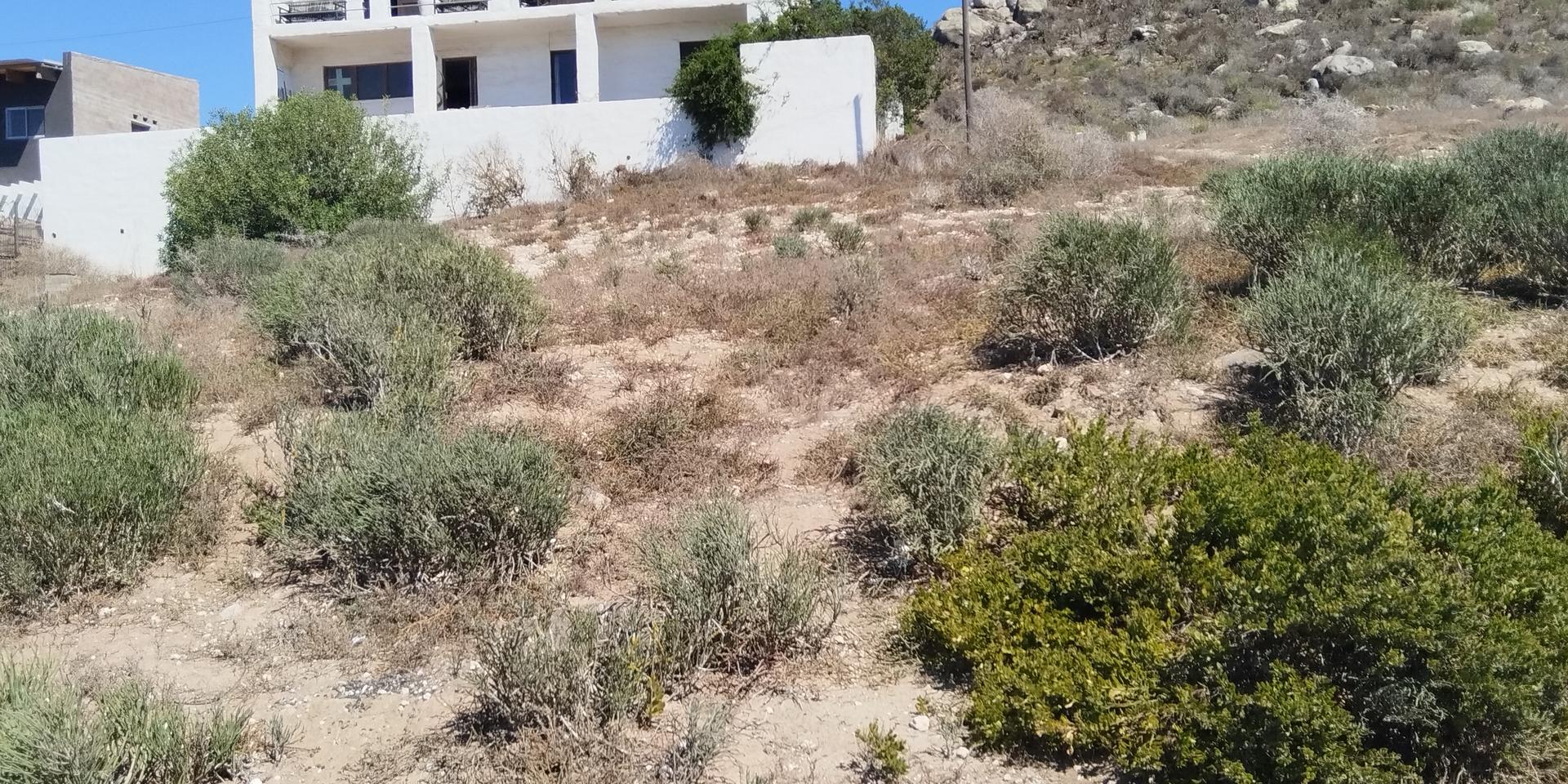 Image 2 of 6
