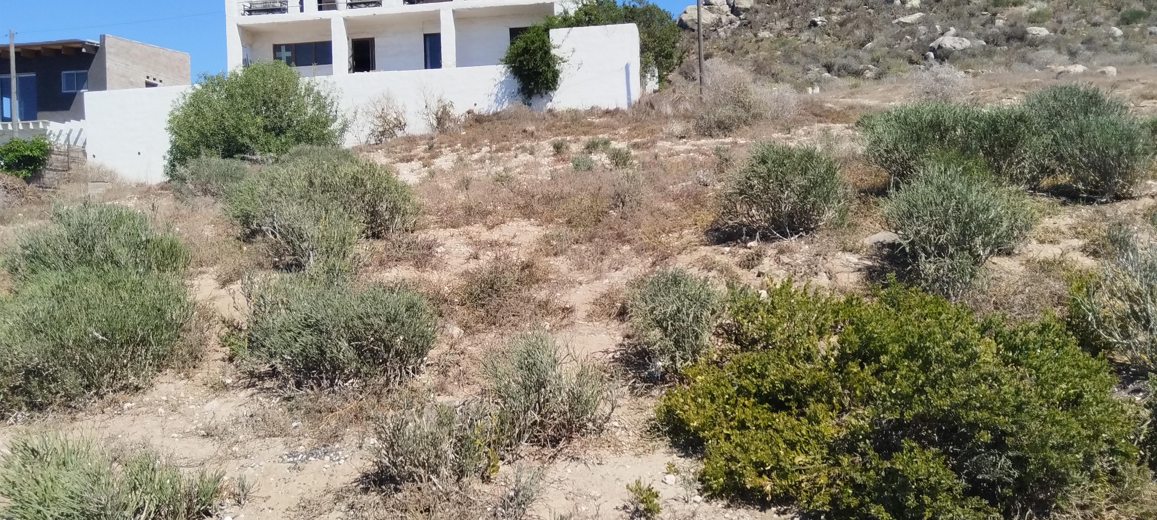 Image 2 of 6