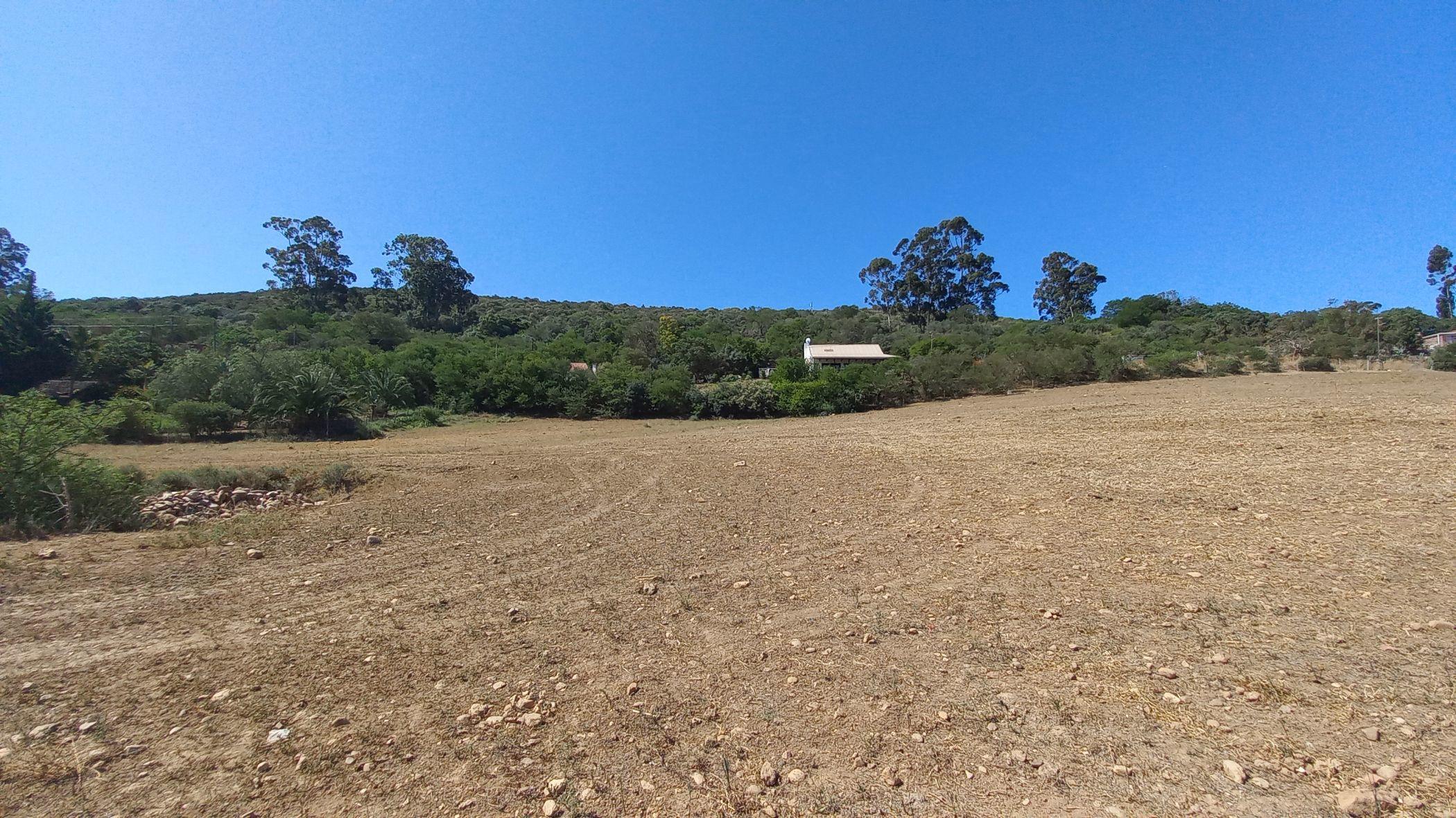 Image 14