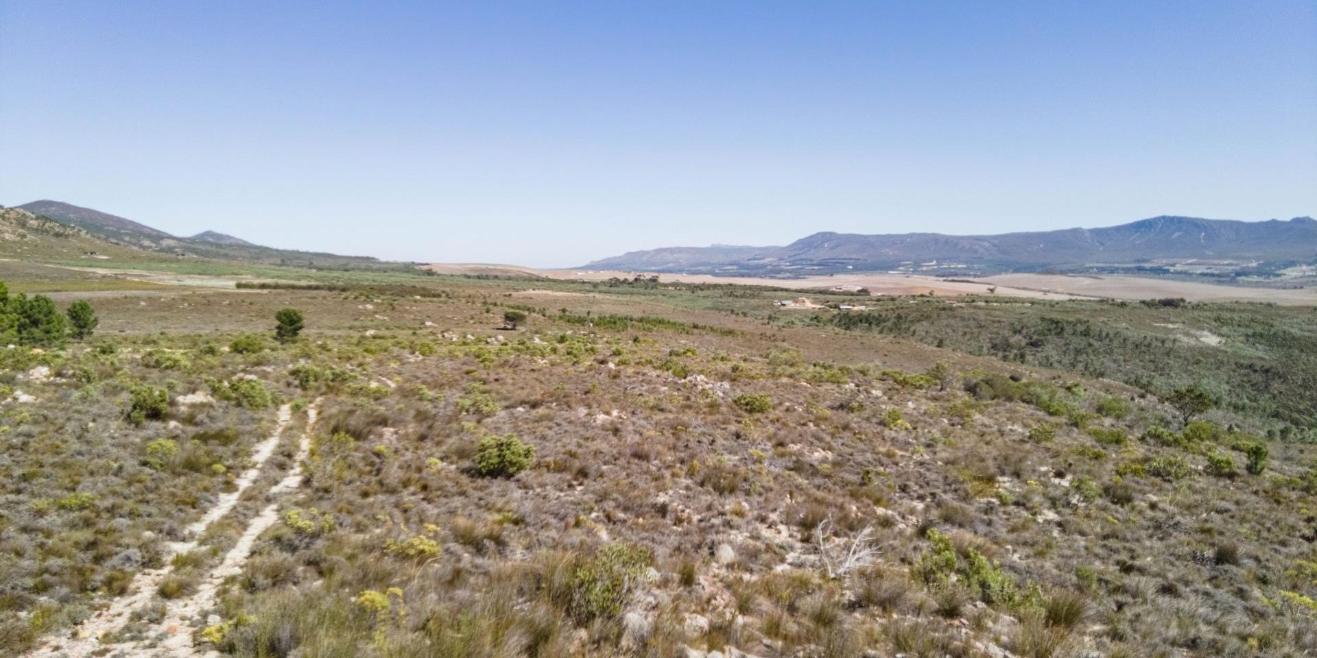 Image 5 of 6