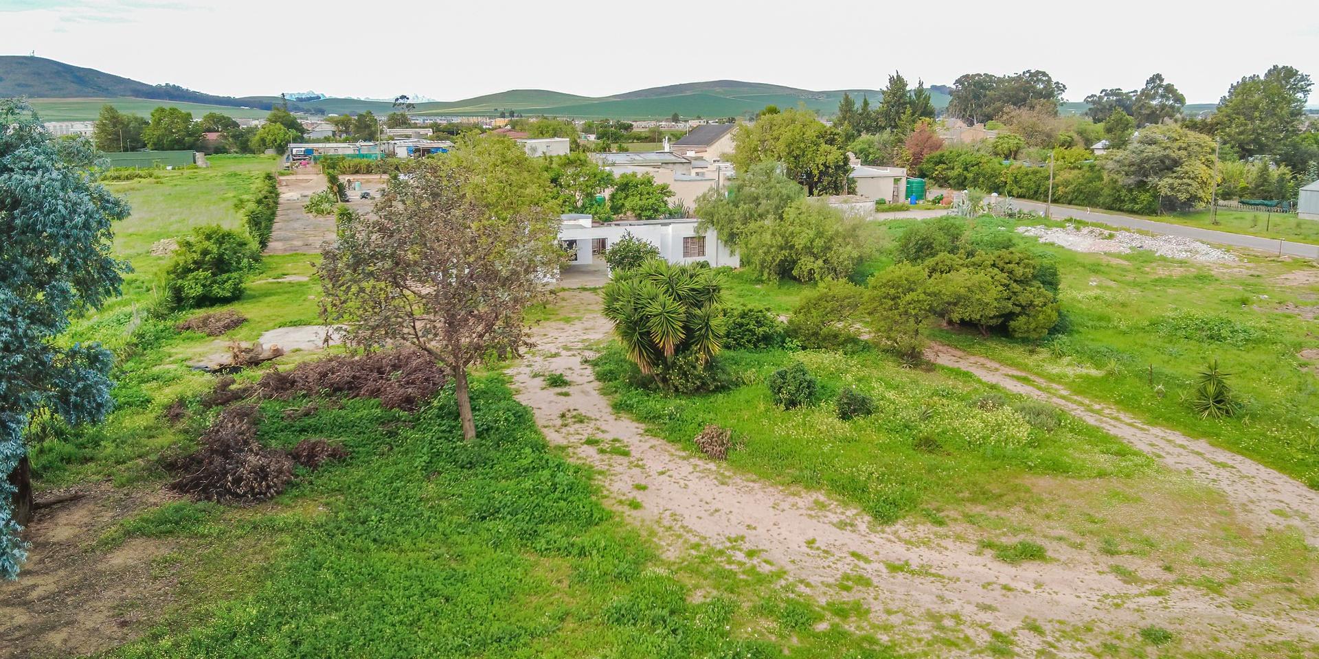 Image 4 of 6