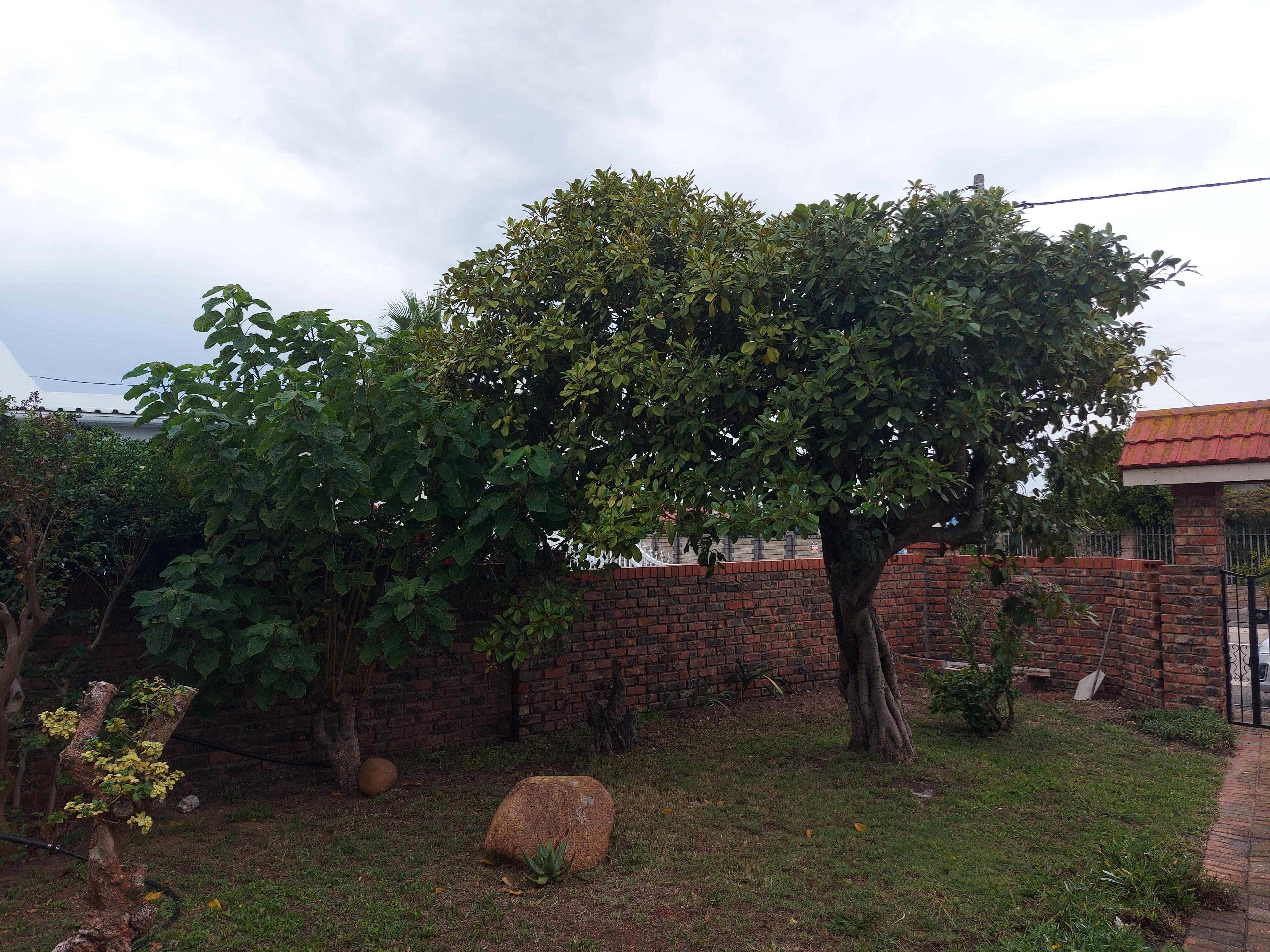 Image 37