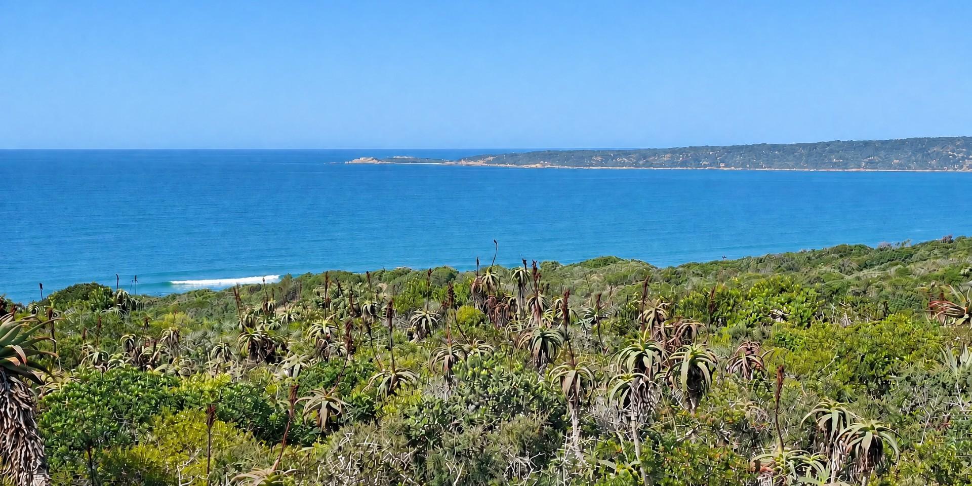 Image 4 of 6