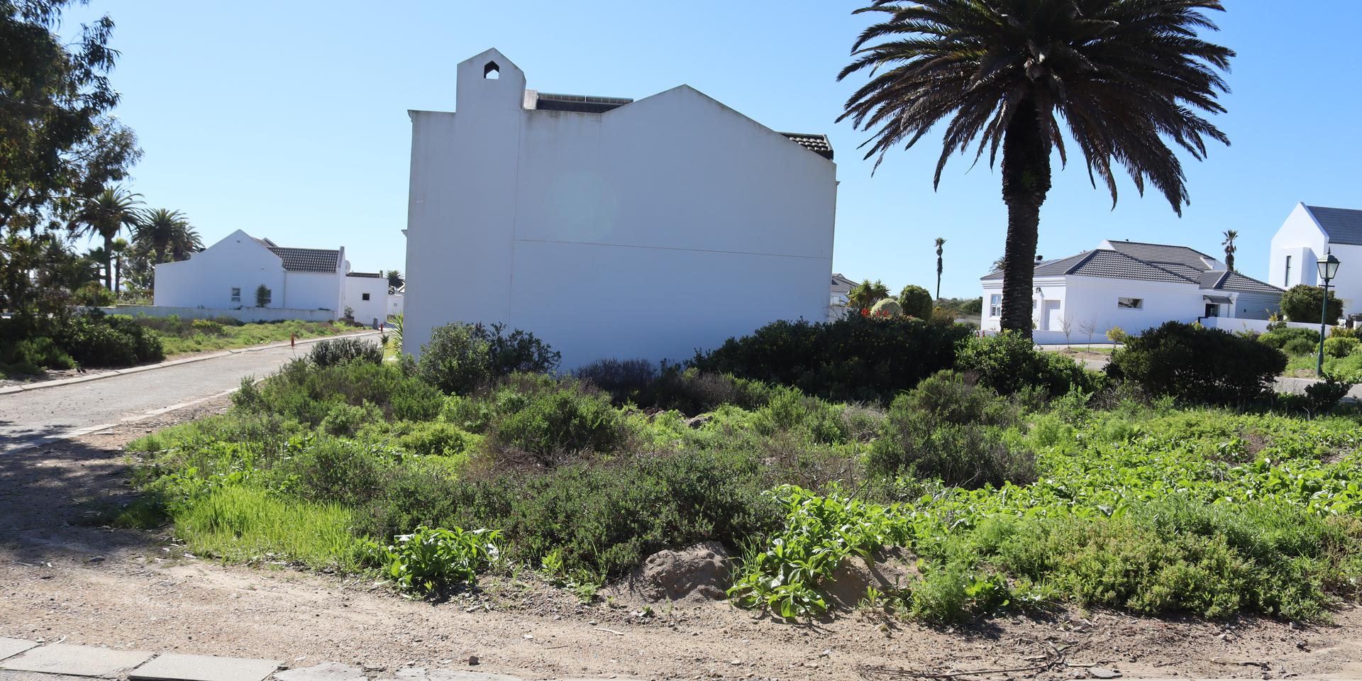 Image 3 of 6