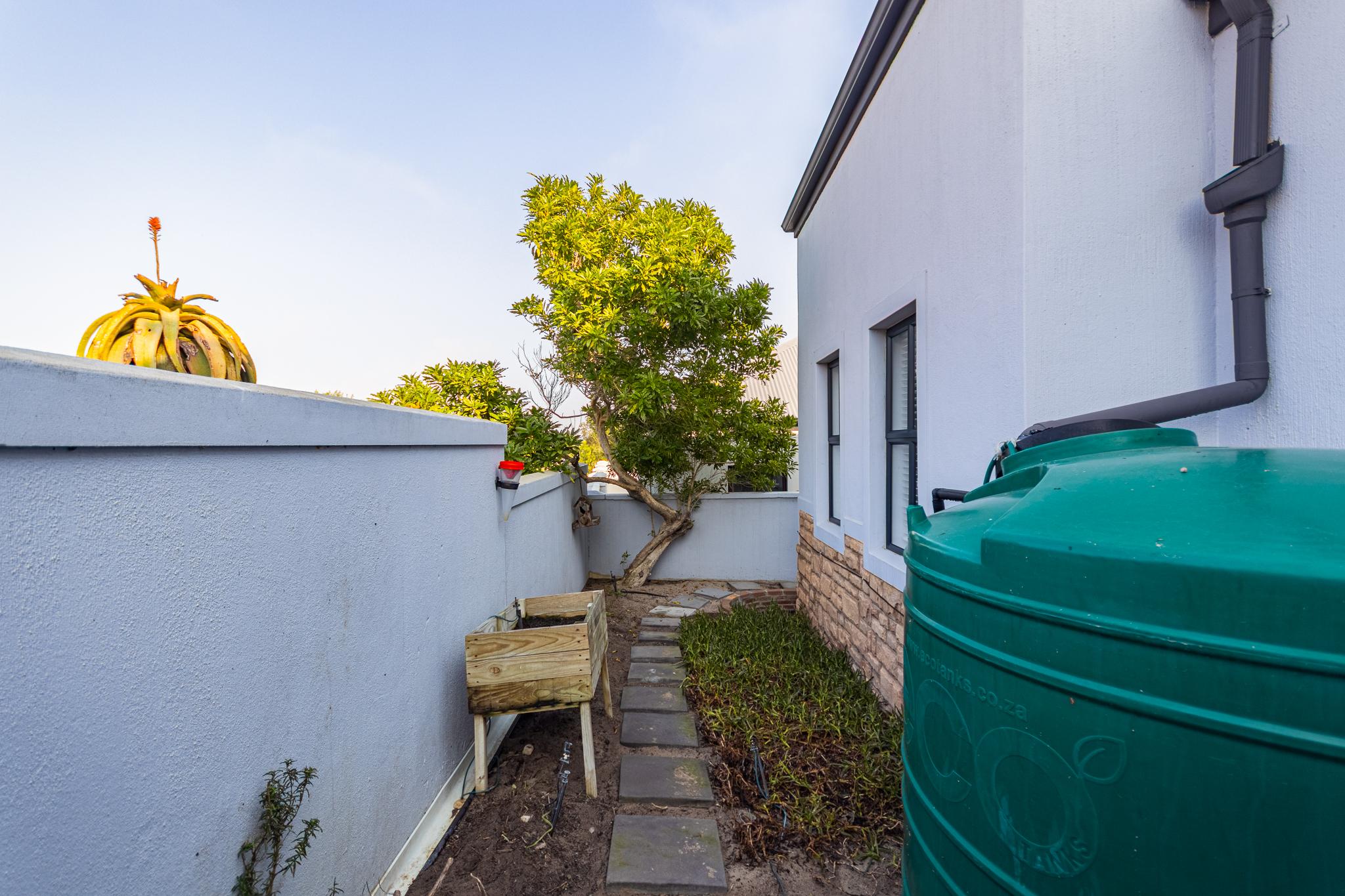 Image 29