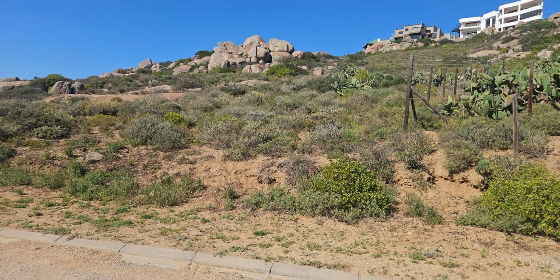 Image 4 of 6