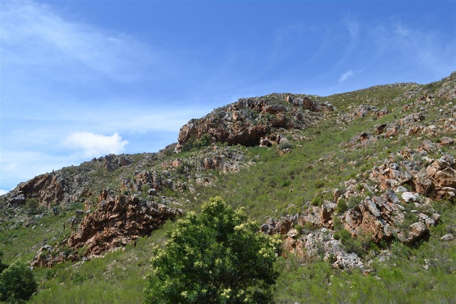 Image 55