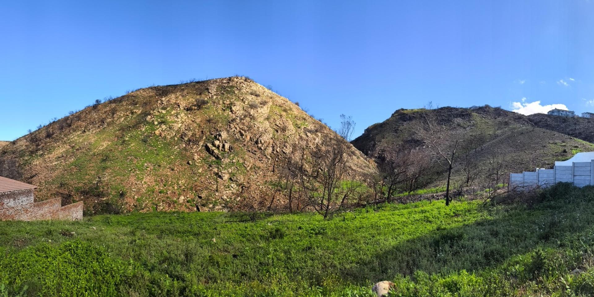 Image 3 of 6