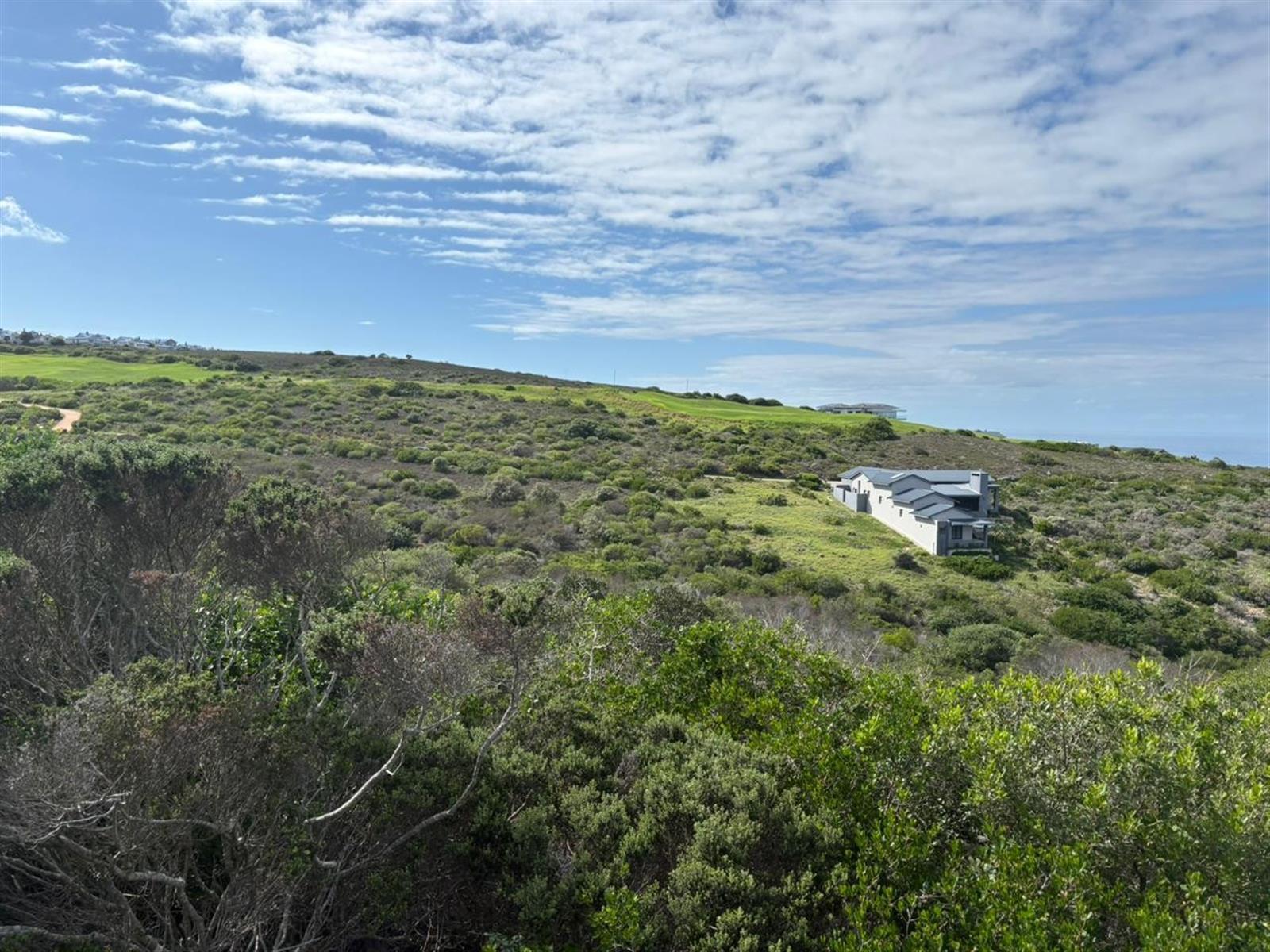 Image 14