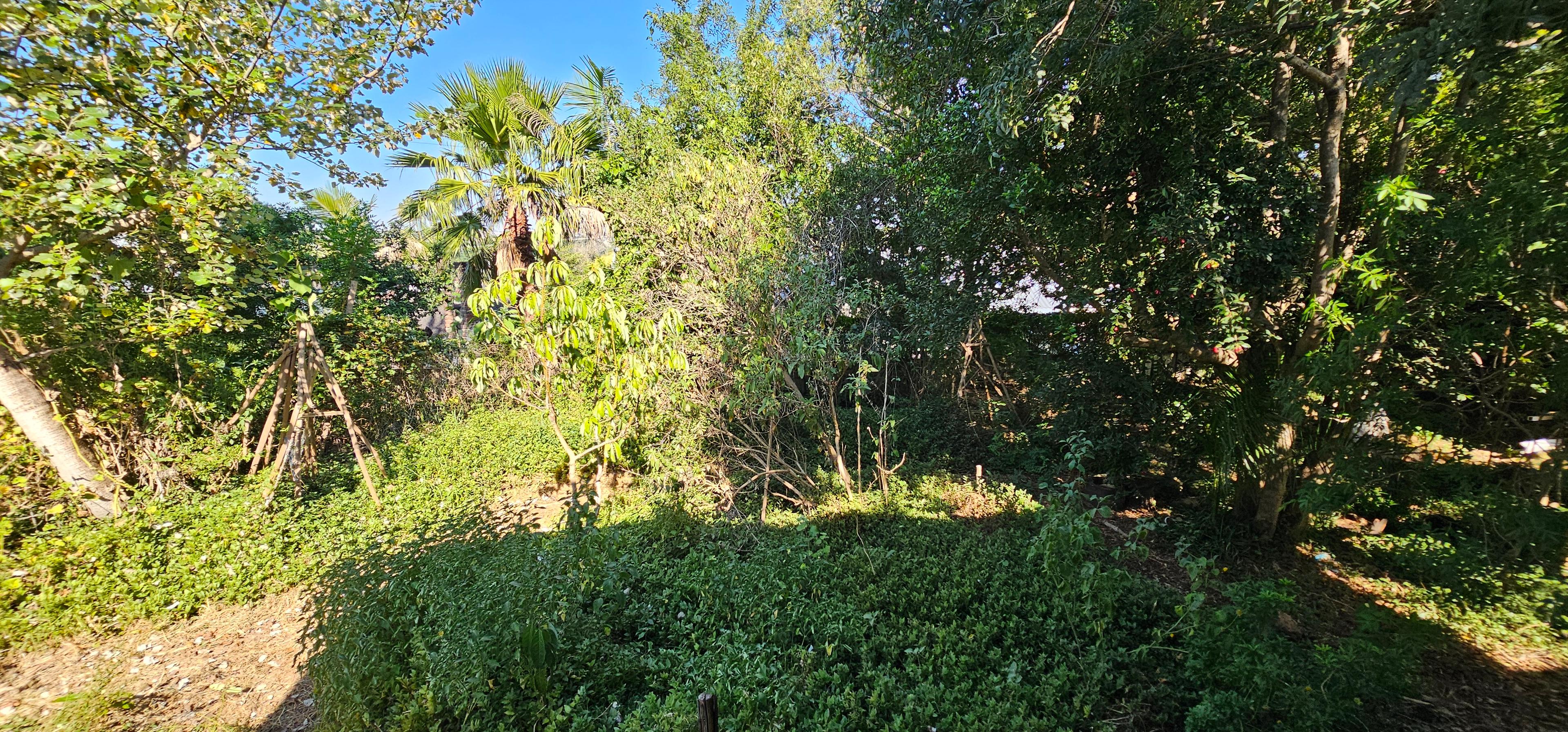 Image 28