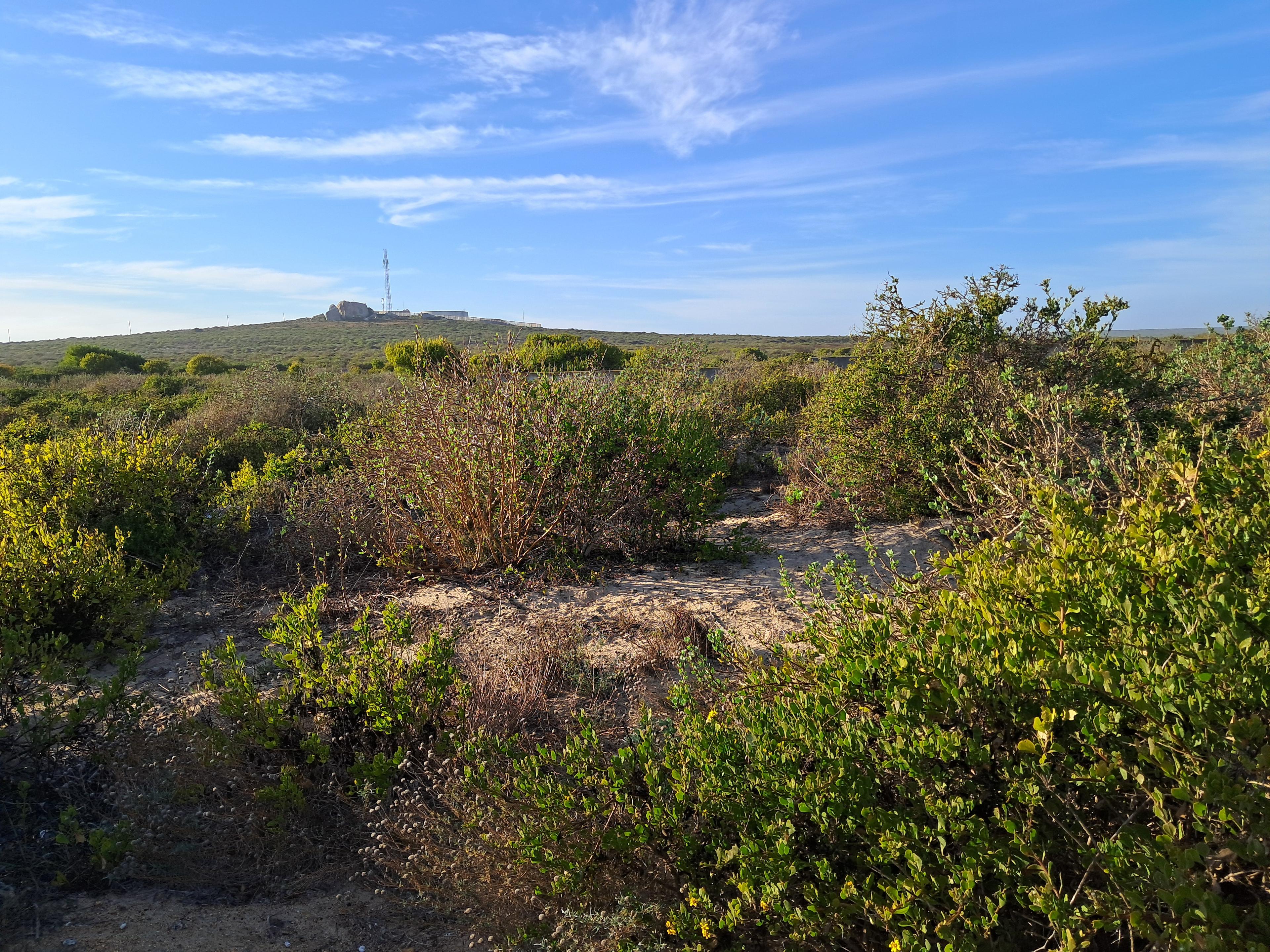 Image 2 of 6
