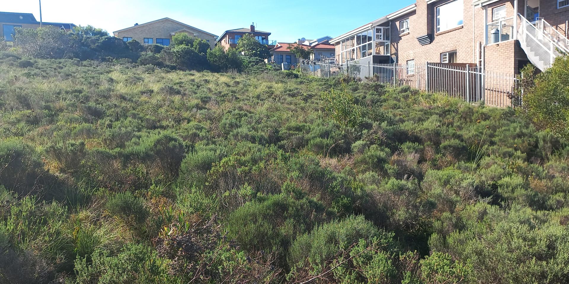 Image 5 of 6
