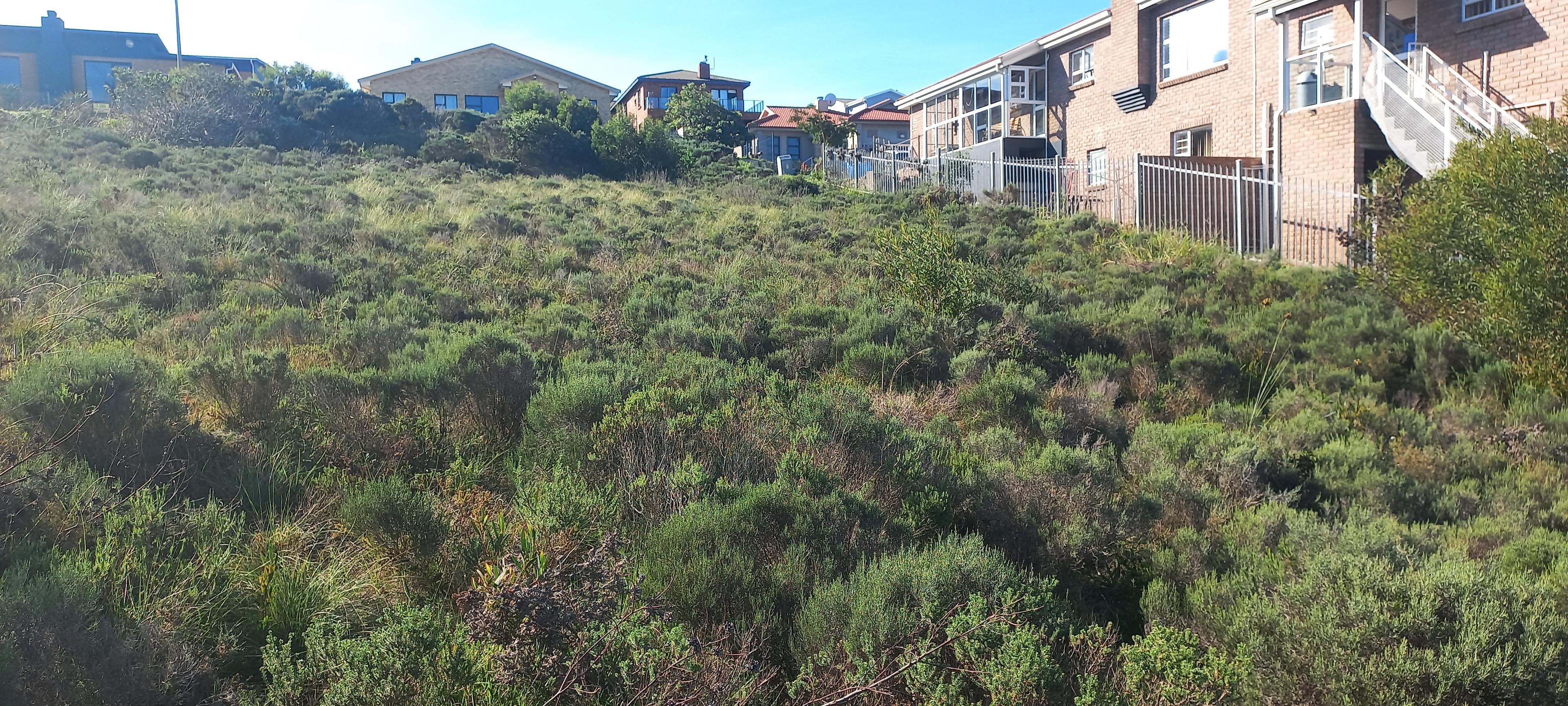 Image 5 of 6