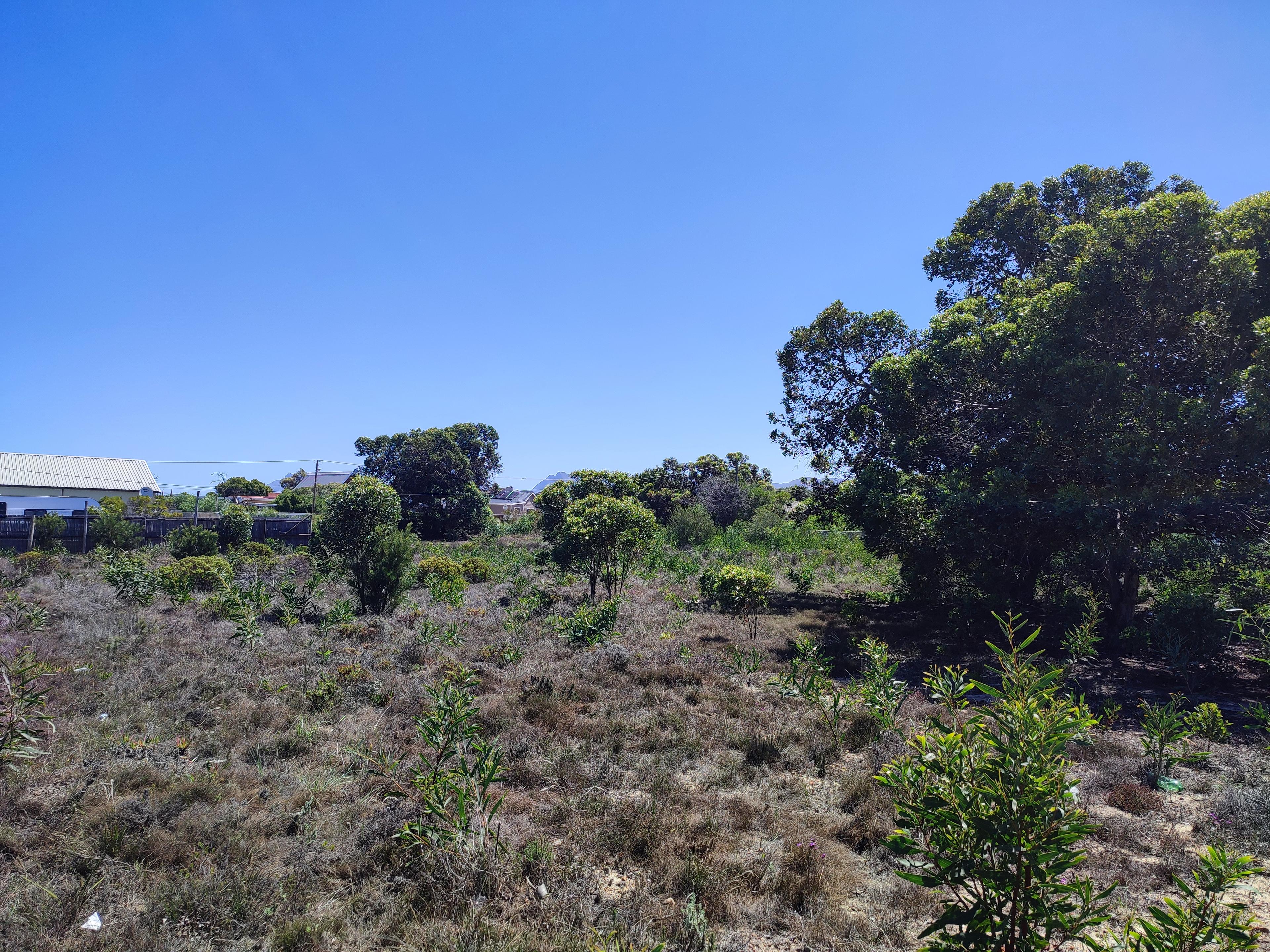 Image 10