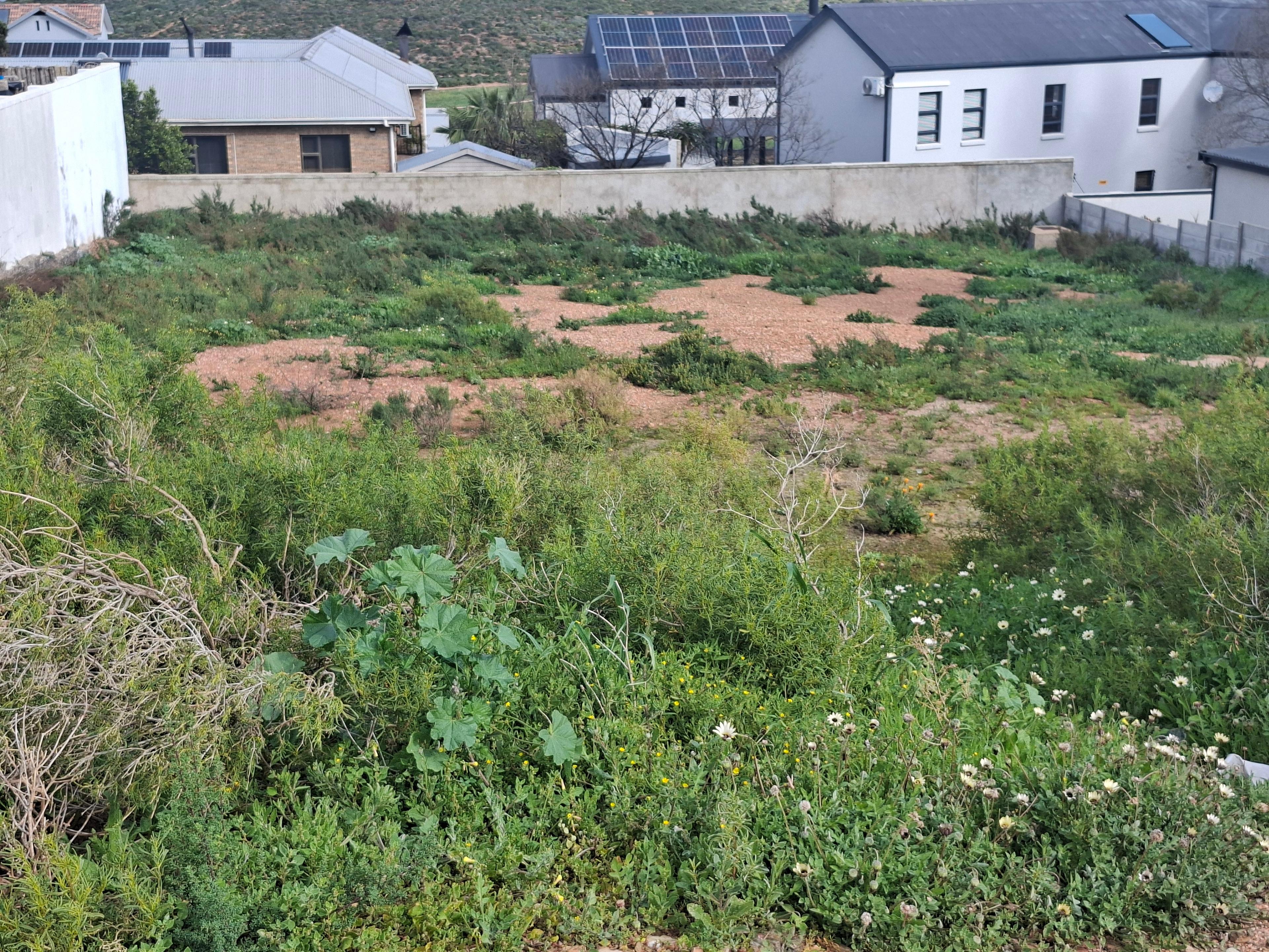 Image 2 of 6