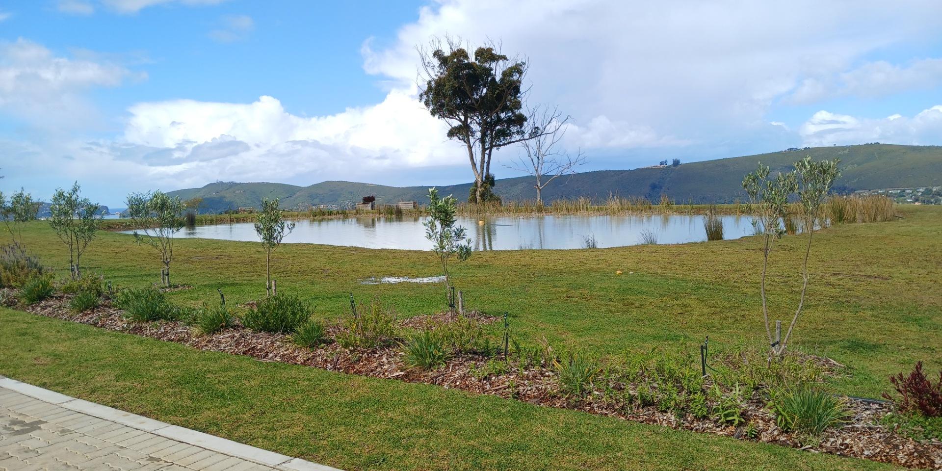 Image 4 of 6
