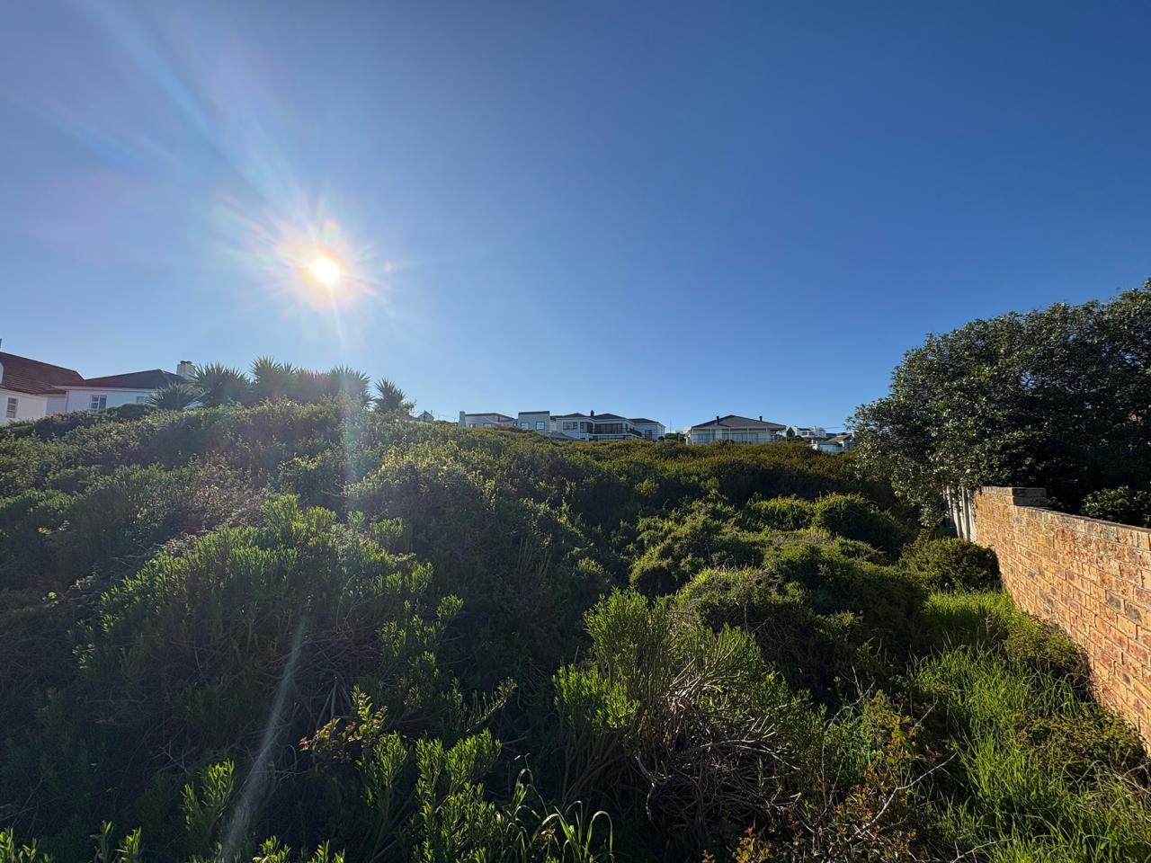Image 4 of 6