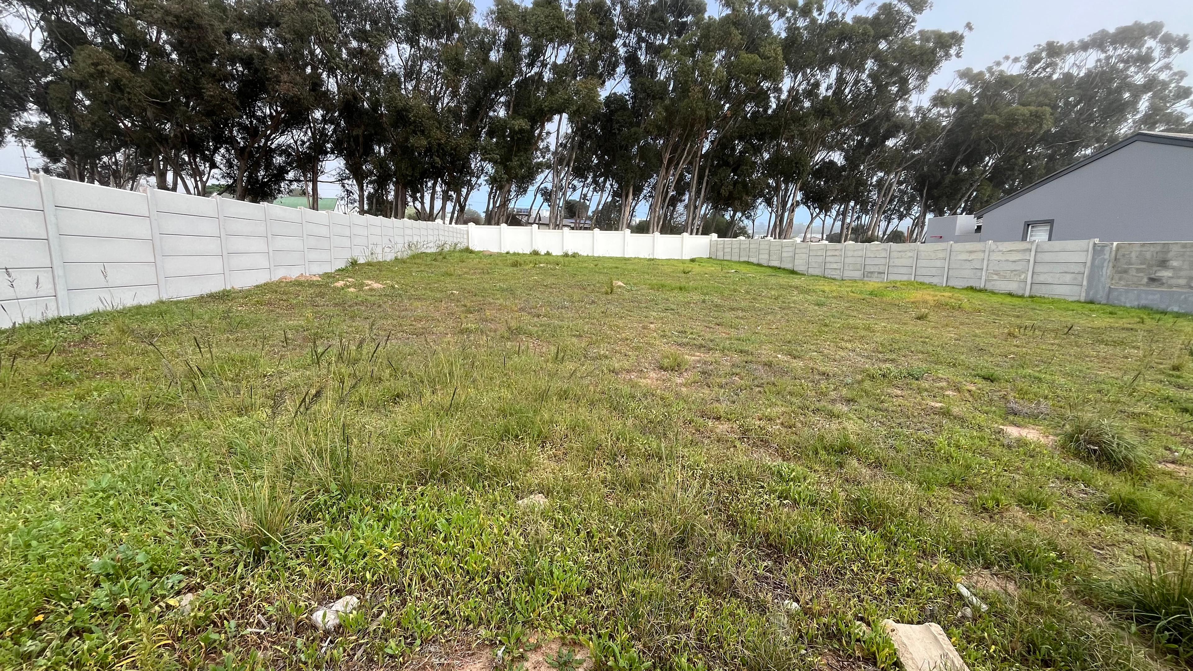 Image 4 of 6