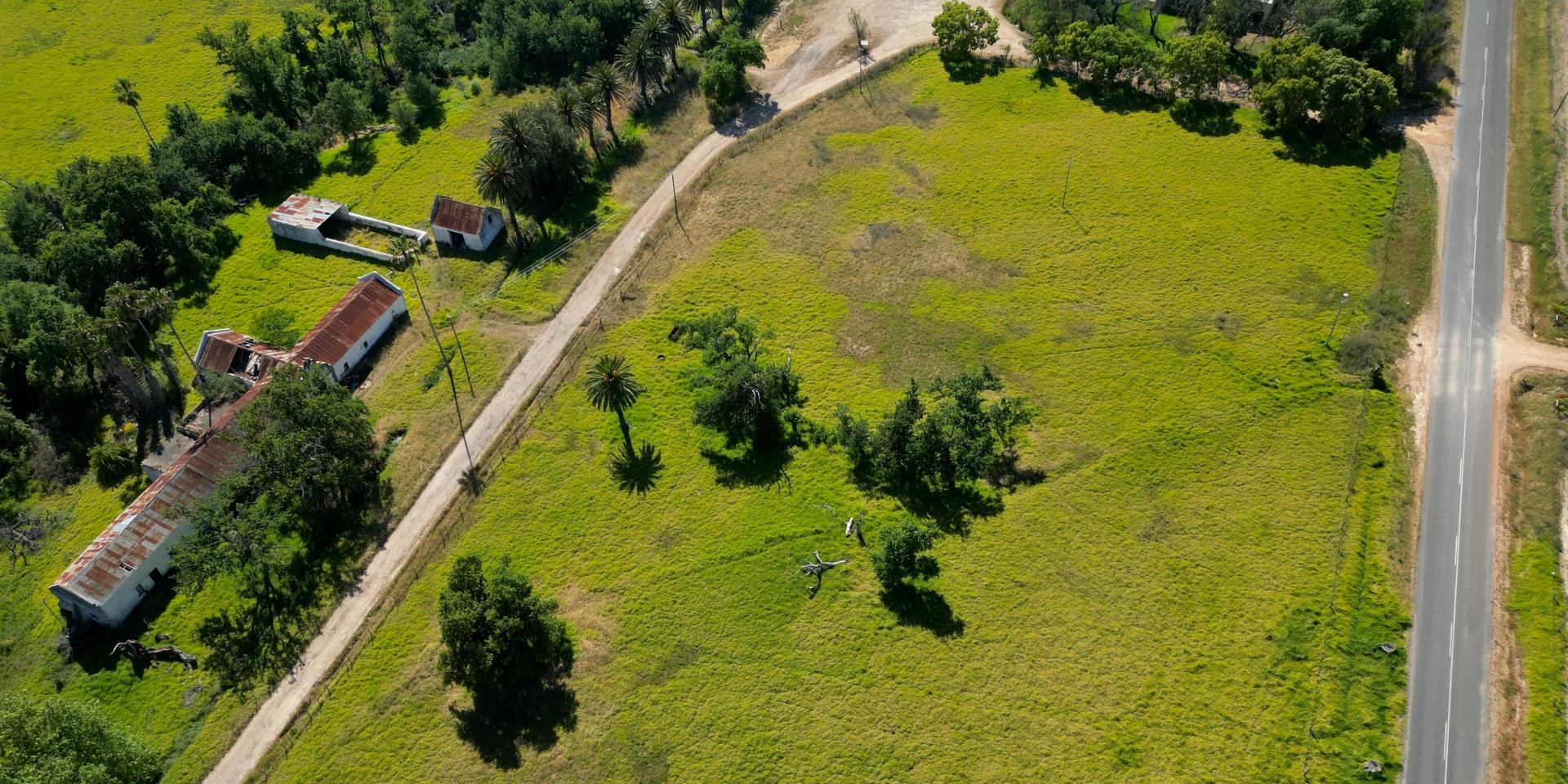 Image 4 of 6