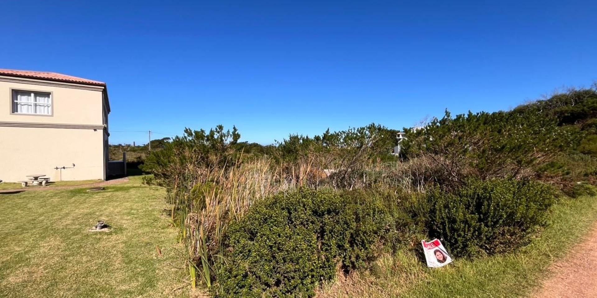 Image 4 of 6