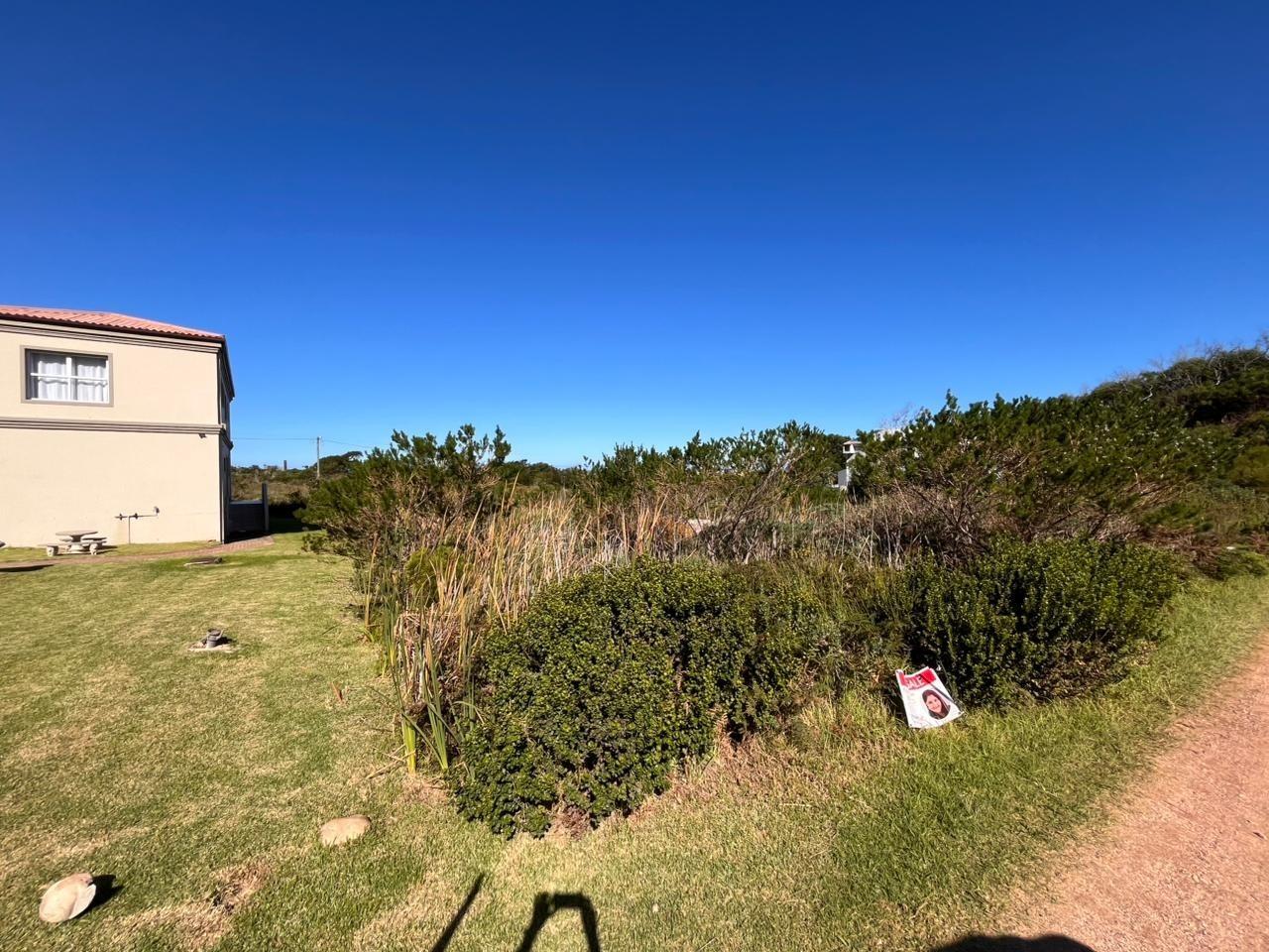 Image 4 of 6