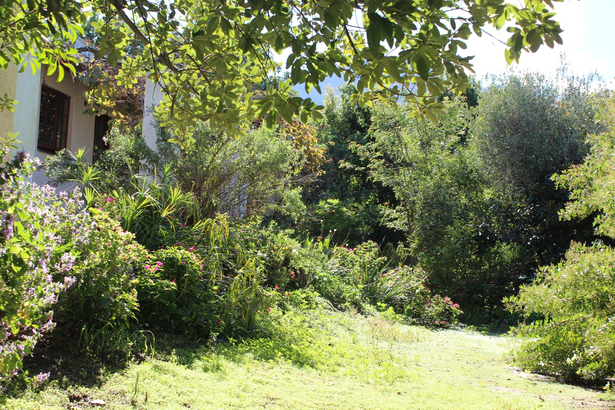 Image 5 of 6
