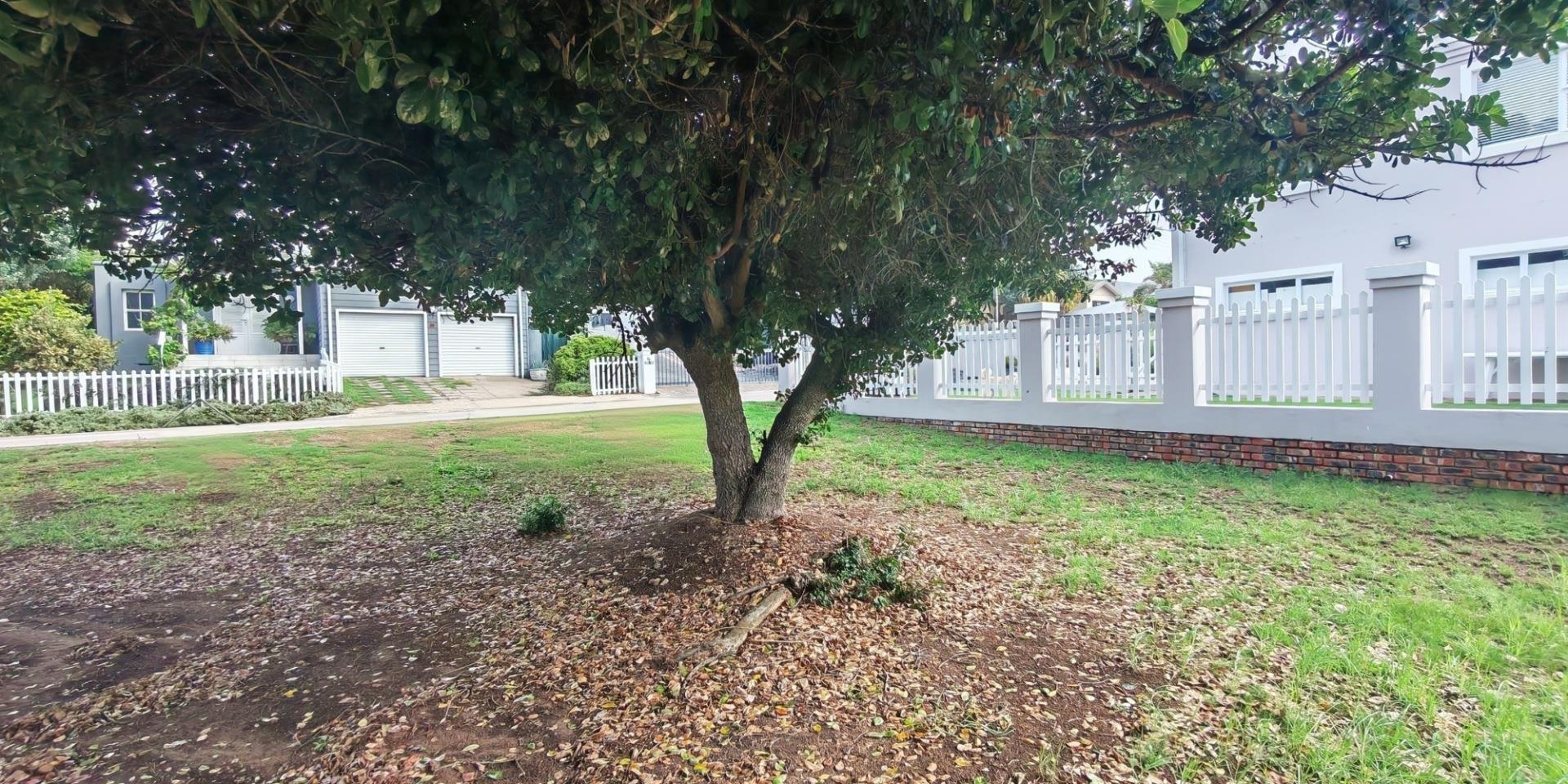 Image 5 of 6