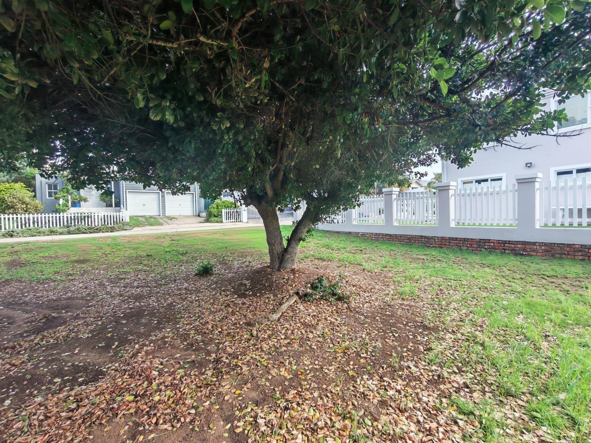 Image 4 of 6