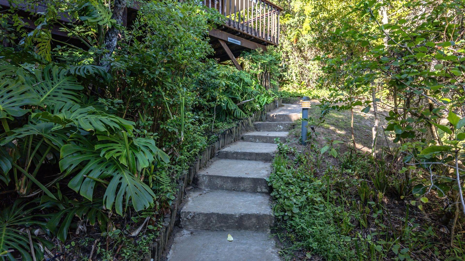 Image 19