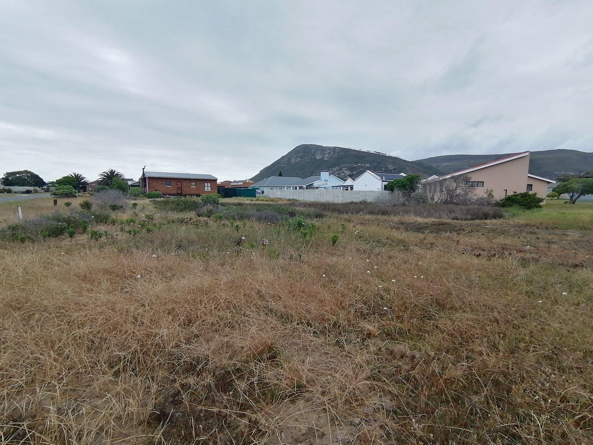Image 13