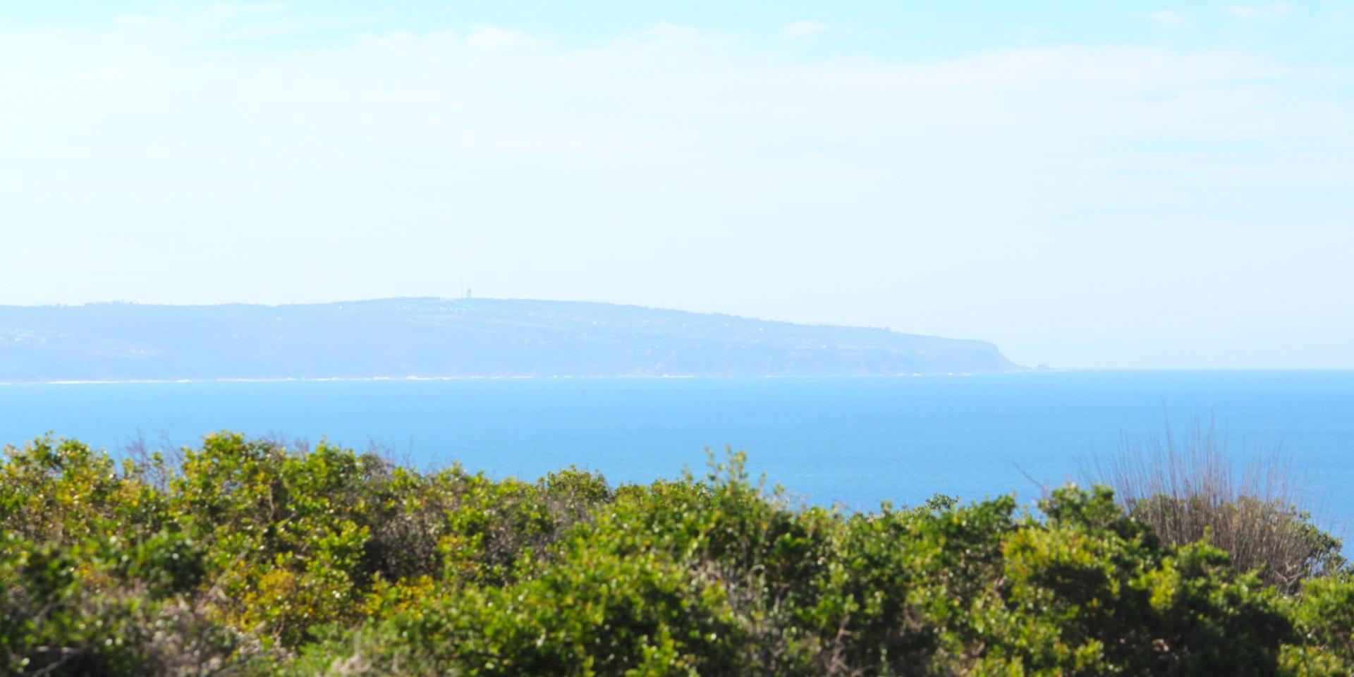 Image 4 of 6