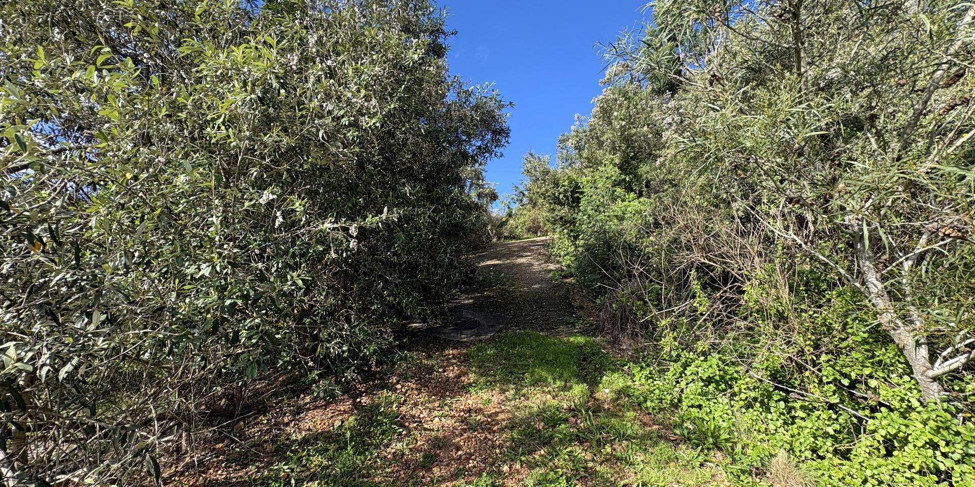 Image 2 of 6
