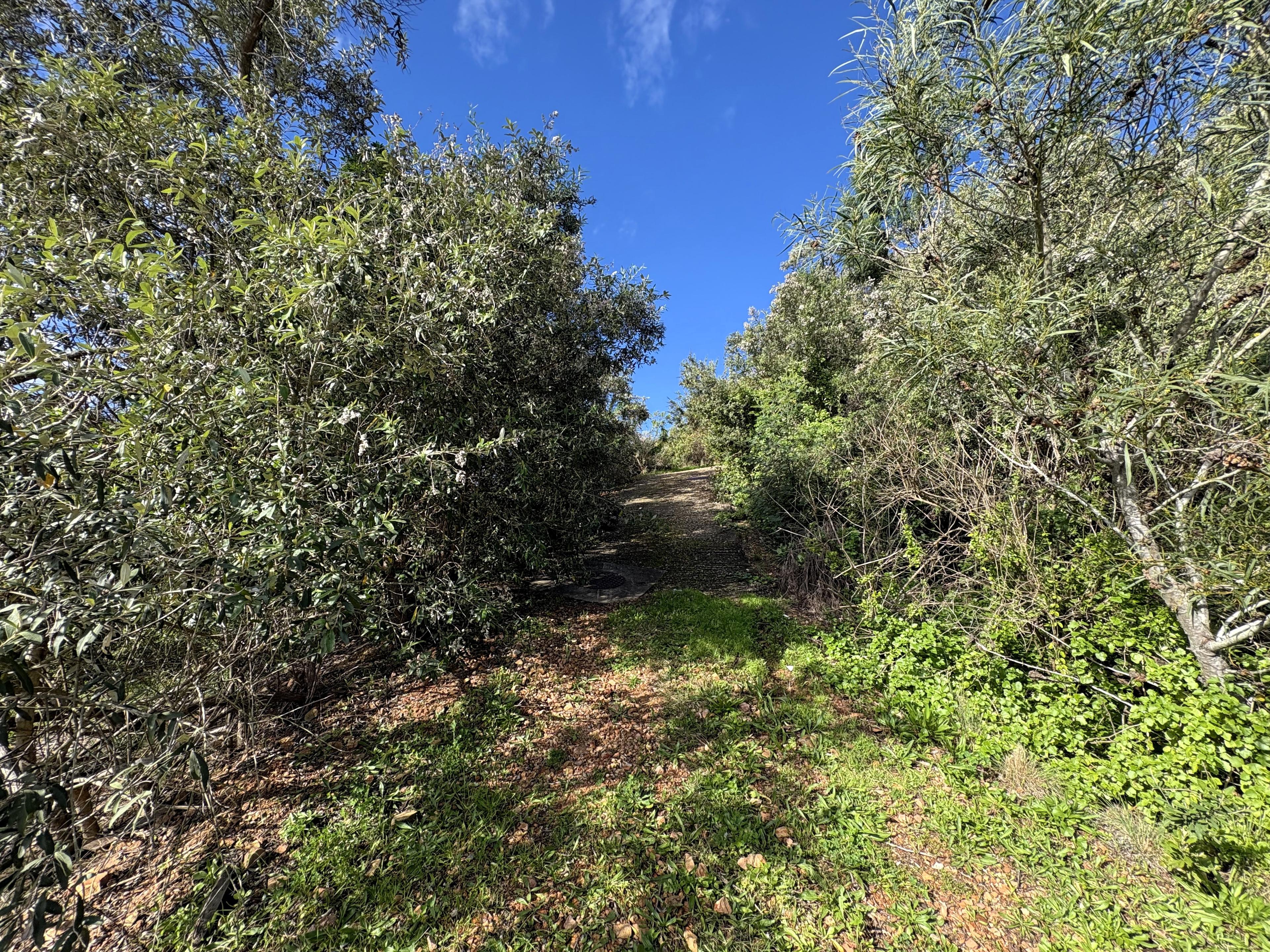 Image 2 of 6