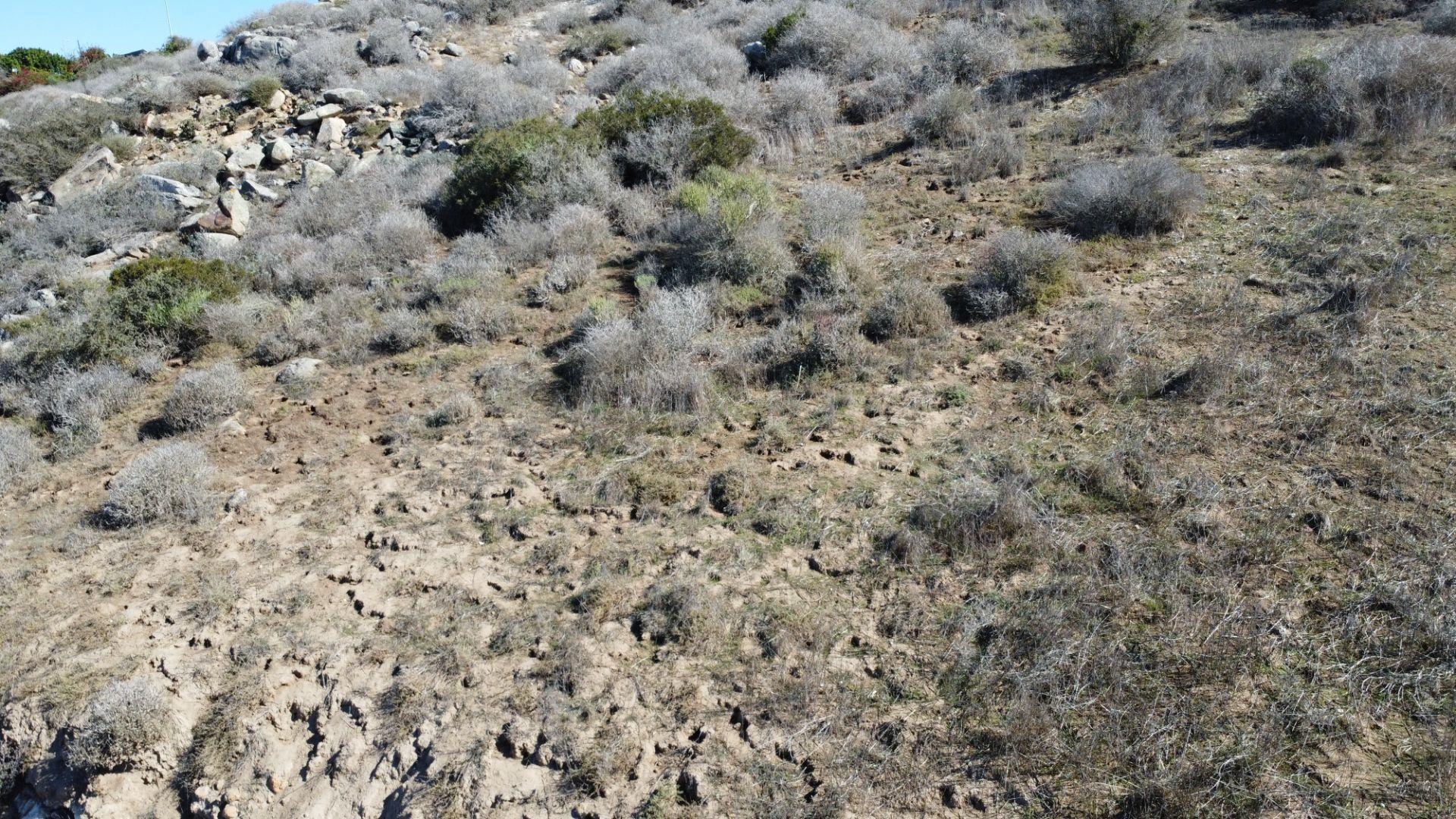 Image 5 of 6