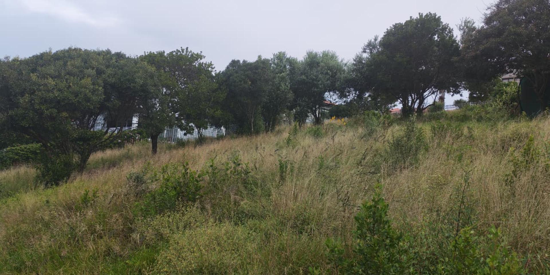 Image 4 of 6