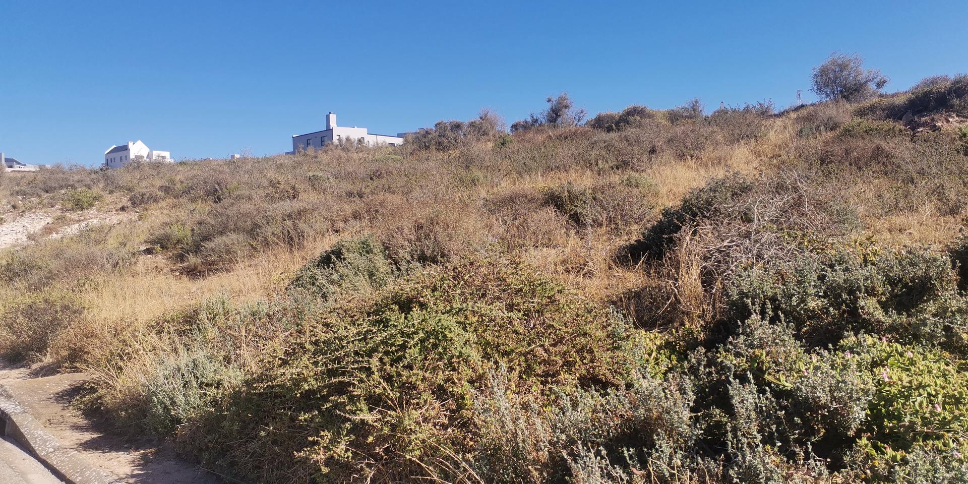 Image 3 of 6