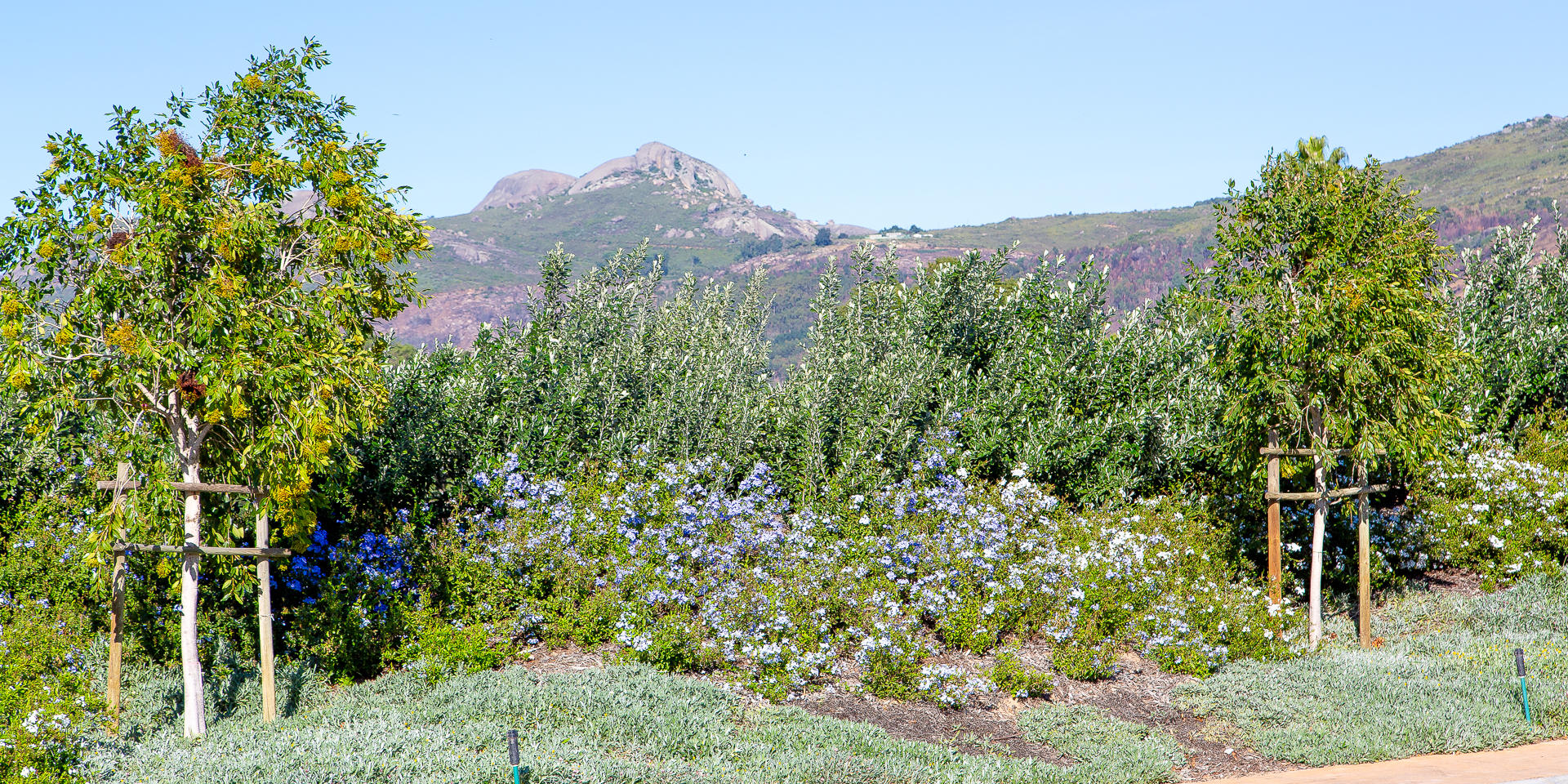 Image 2 of 6