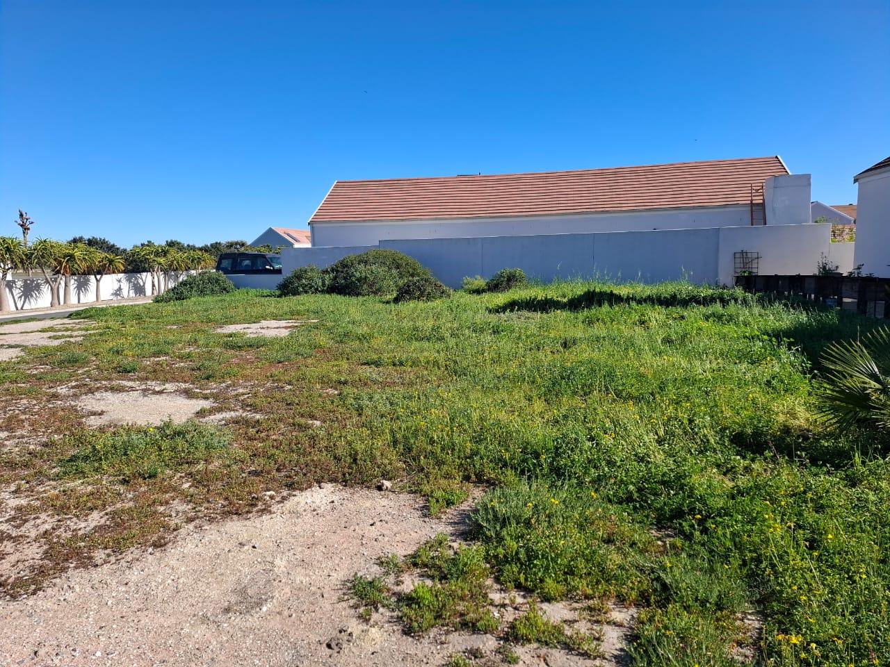 Image 8