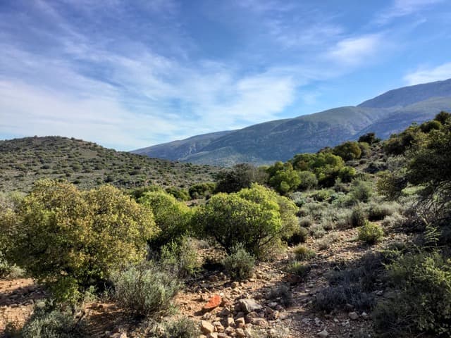 Image 2 of 6
