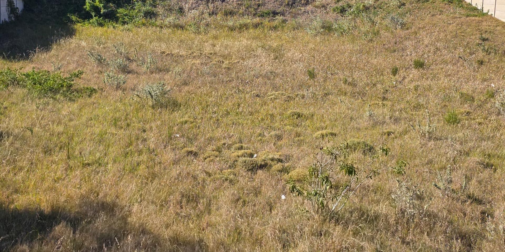 Image 2 of 6